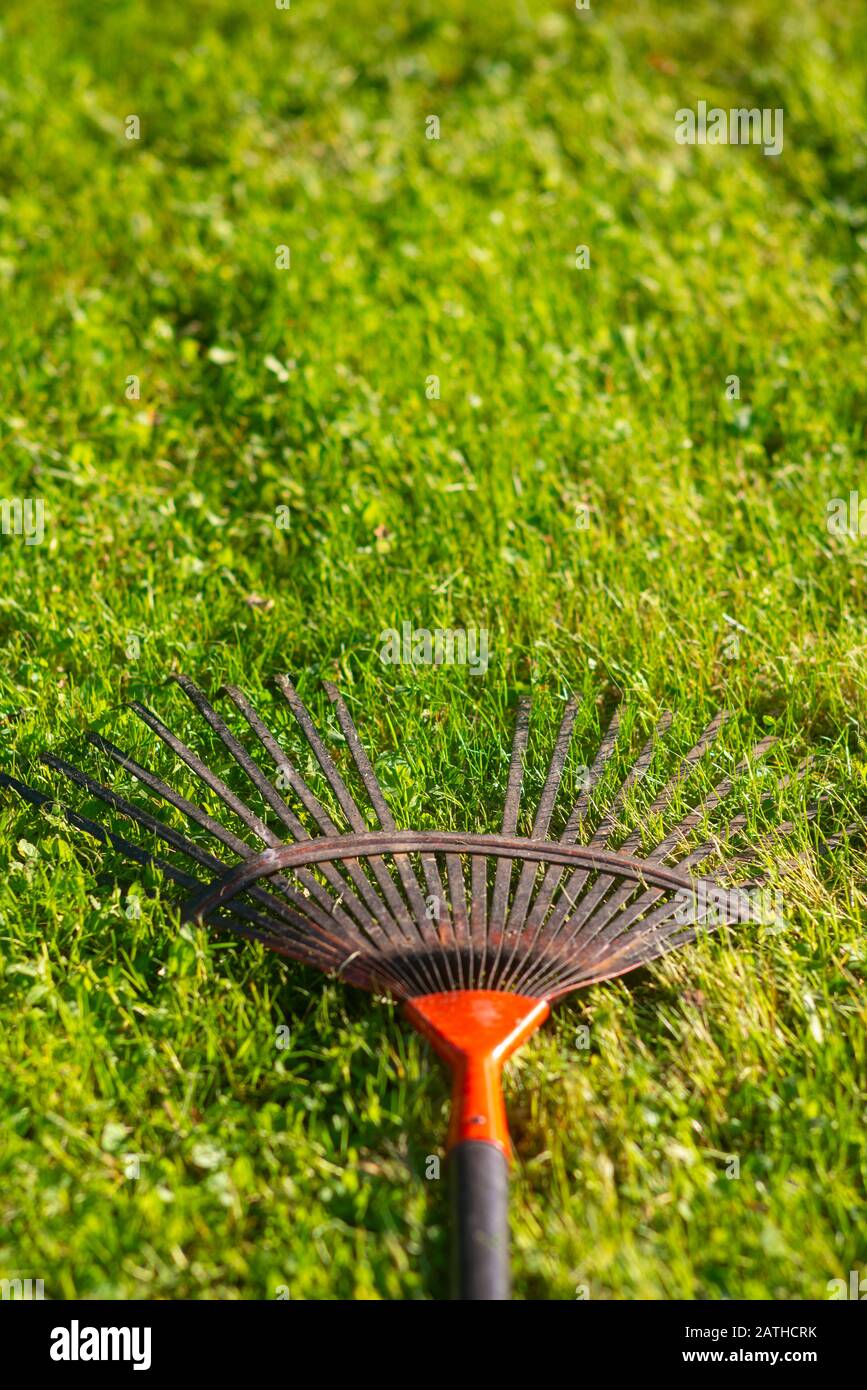 rateau posé sur du gazon, de l'herbe verte dans un jardin. rake on grass, green grass in a garden. Stock Photo