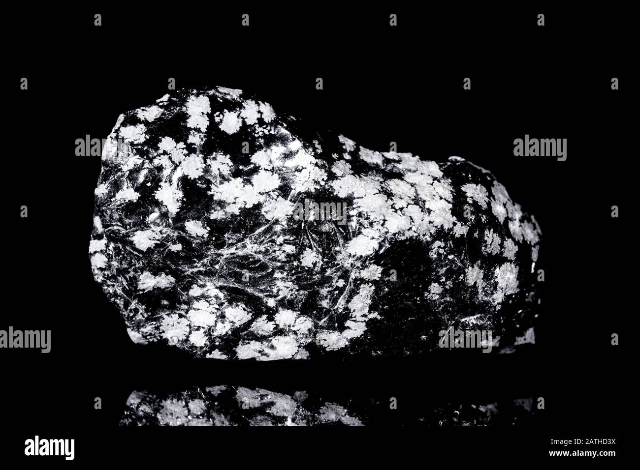 Raw Snowflake Obsidian Volcanic Glass In Front Of Black Background Mineralogy And Geology Stock Photo Alamy