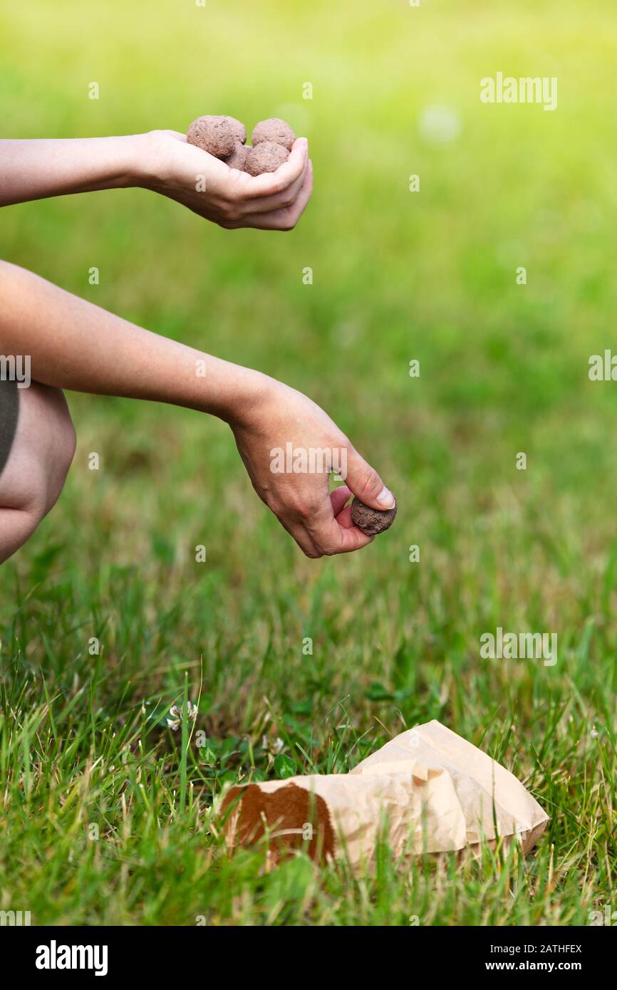 woman is holding and throwing seed balls or seed bombs, concept