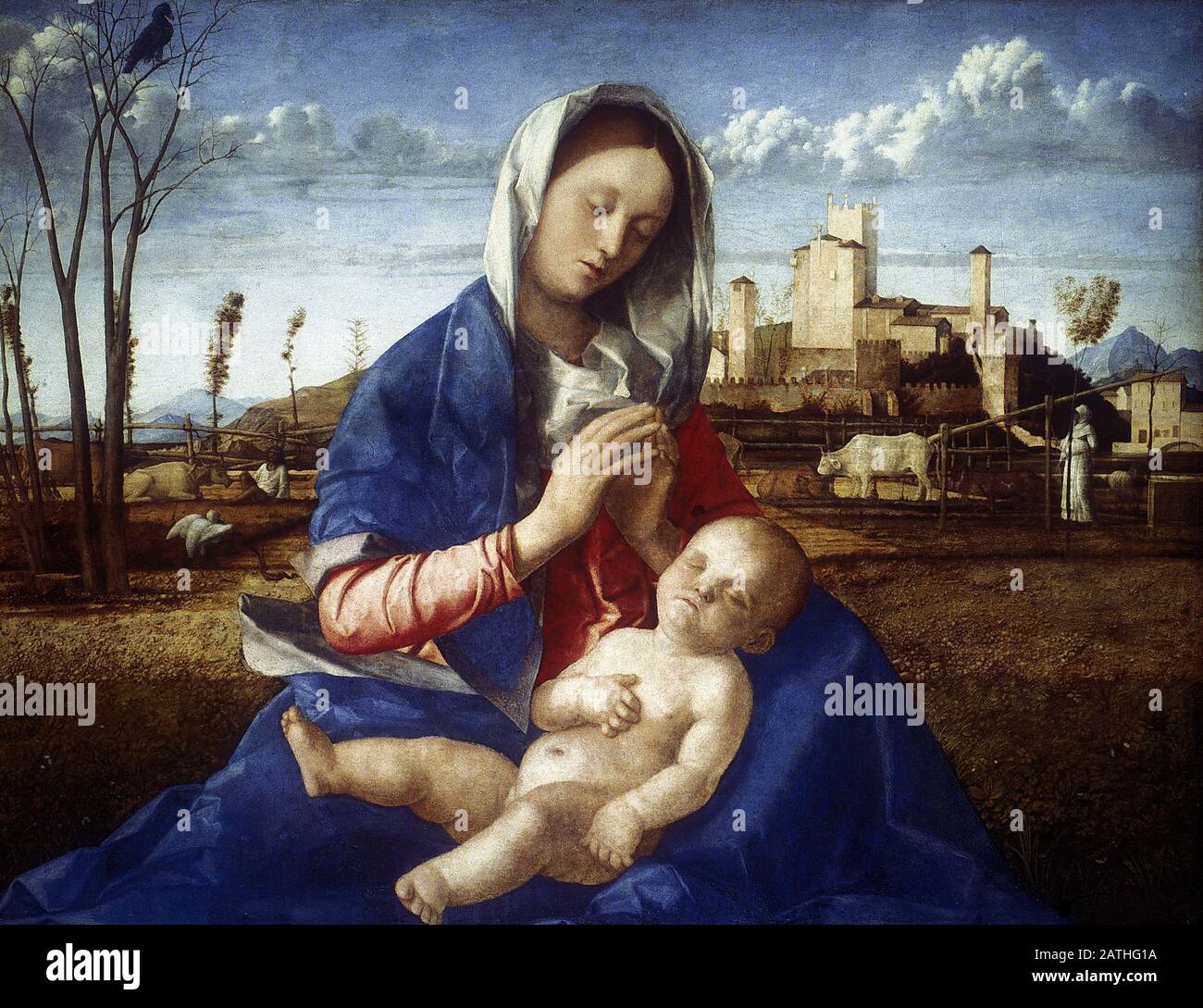Giovanni Bellini Italian school Madonna of the Meadow About 1500-1505 Oil on synthetic panel, transferred from wood (66.5 x 85.1 cm) London, National Gallery Stock Photo