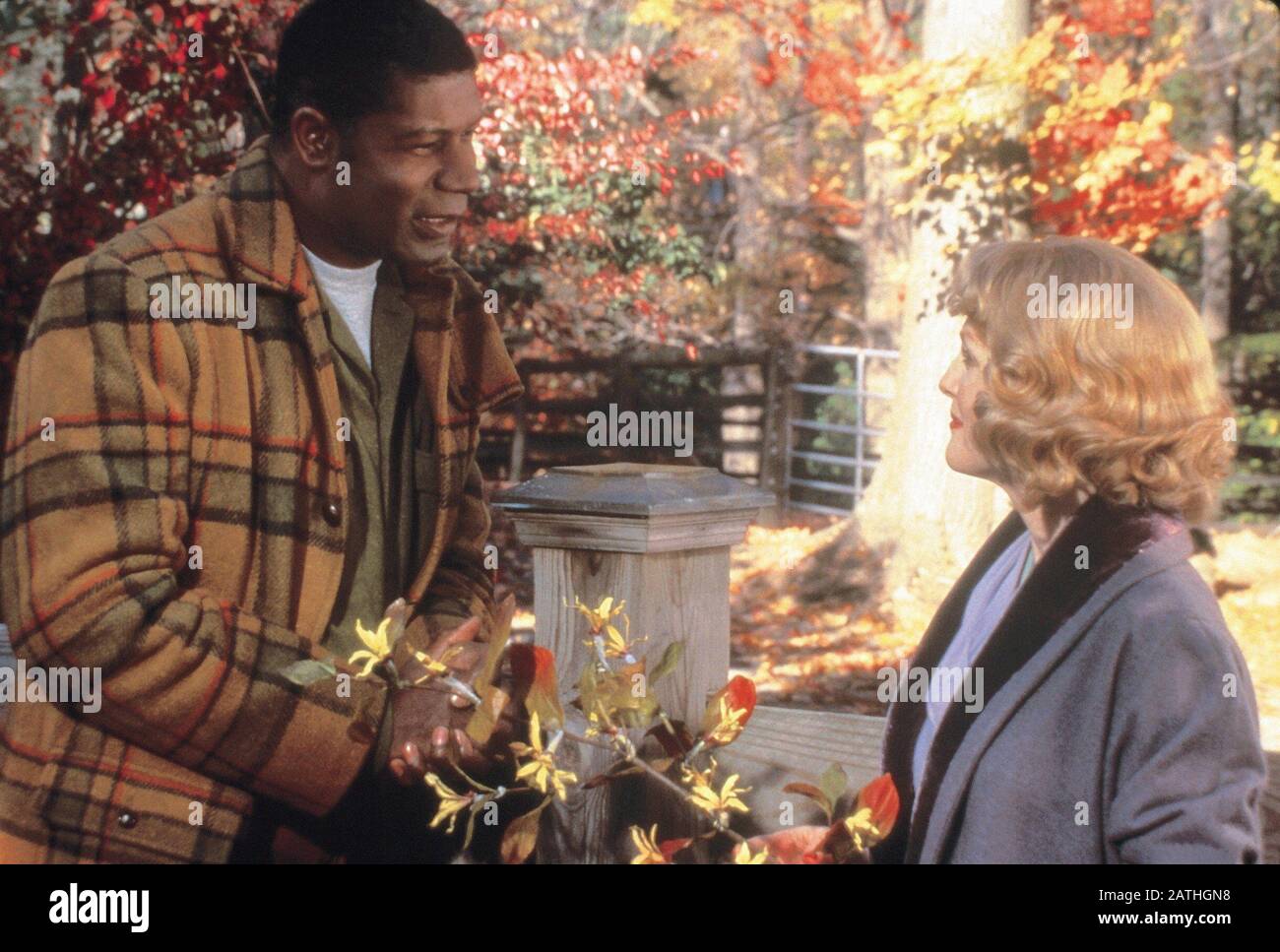 Far from Heaven Year : 2002 USA Director: Todd Haynes Julianne Moore ...