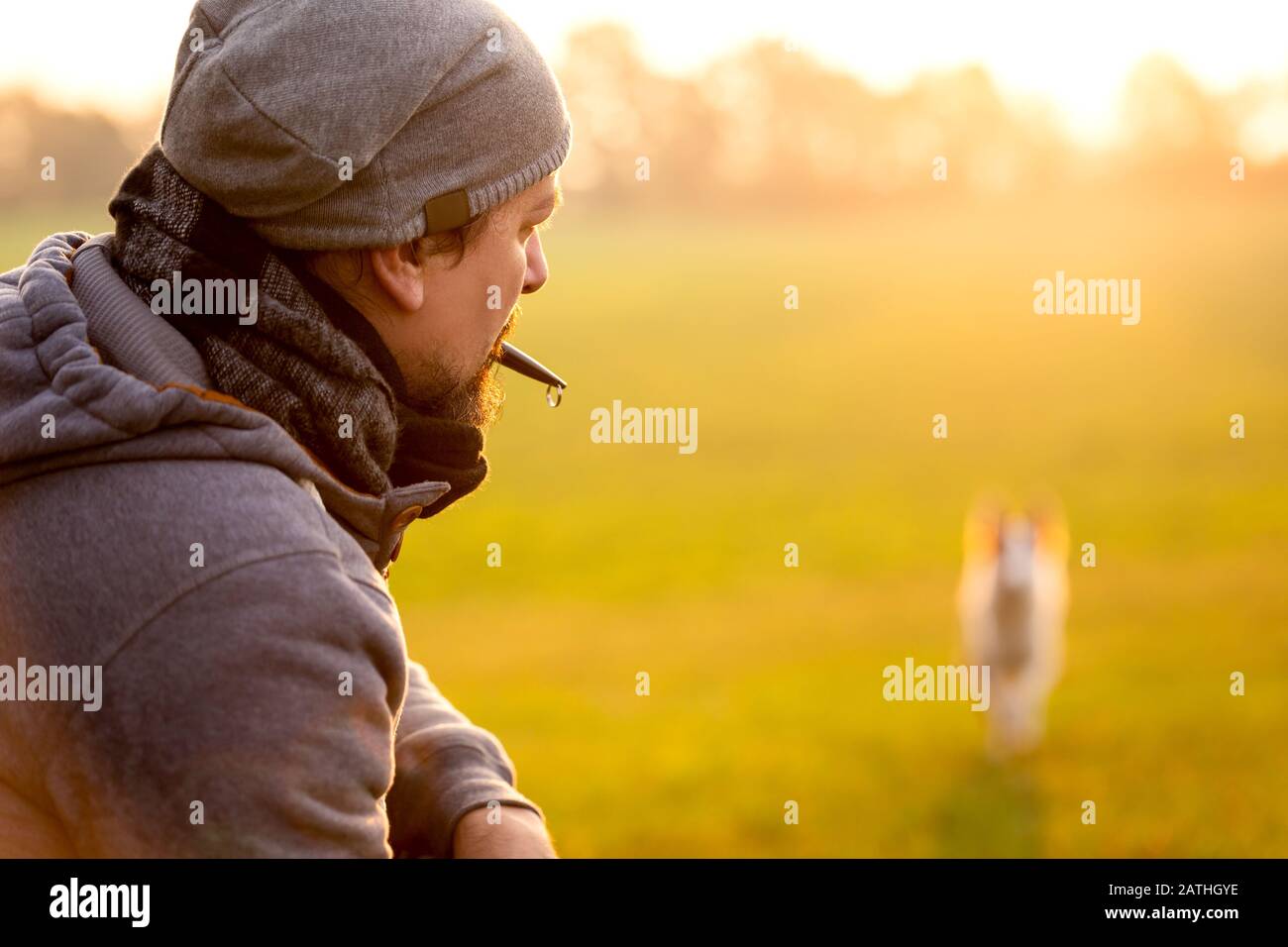 Training and obedience with a dog whistle, man is recall his pet, copyspace Stock Photo