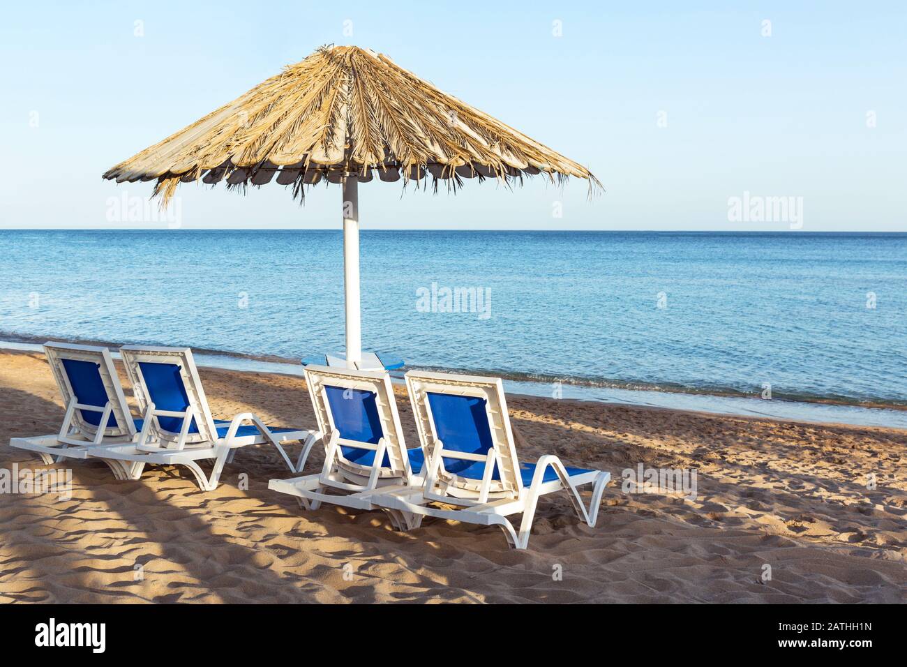 sandy beach with palm trees with a metal pergola and plastic sun