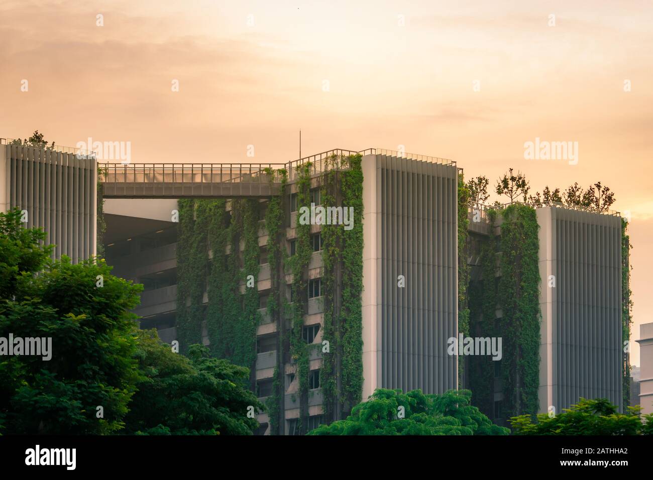 SINGAPORE-OCTOBER 19, 2019 : Eco friendly building with vertical garden in modern city. Green tree forest and ivy on facade on sustainable building. Stock Photo