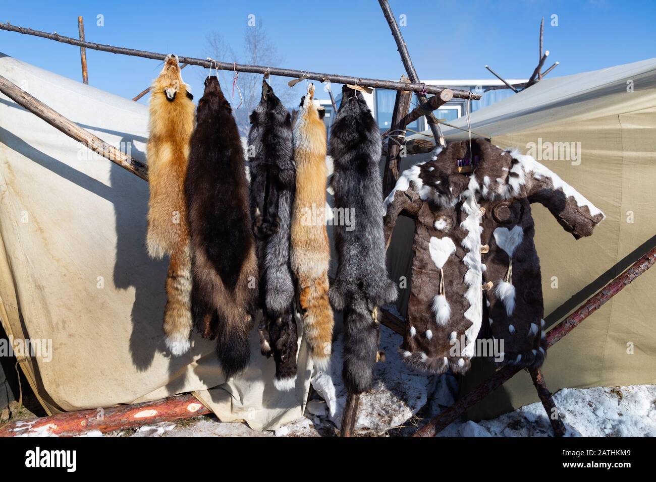 Skins of a fox, silver fox, wolverine and a deer fur coat. Stock Photo