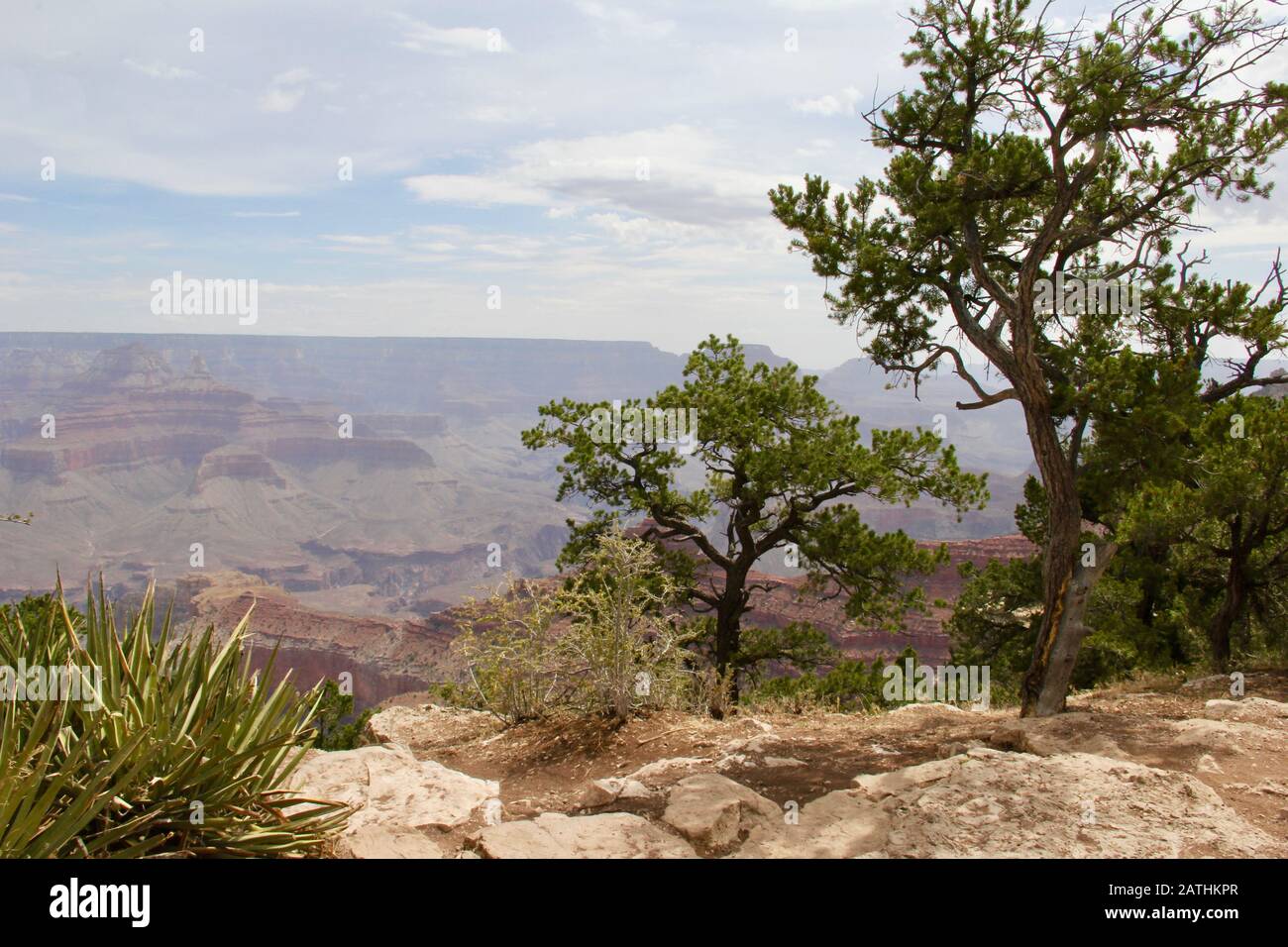 Summer morning view of the Grand Canyon from the South rim Stock Photo