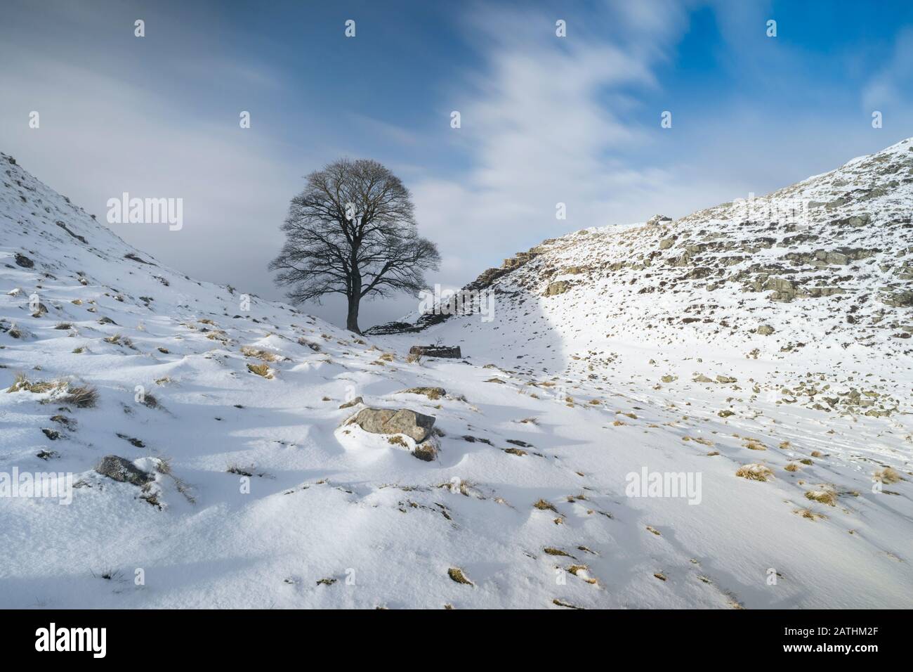 Sycamore Gap in the snow, Hadrian's Wall Country, Northumberland National Park, England Stock Photo