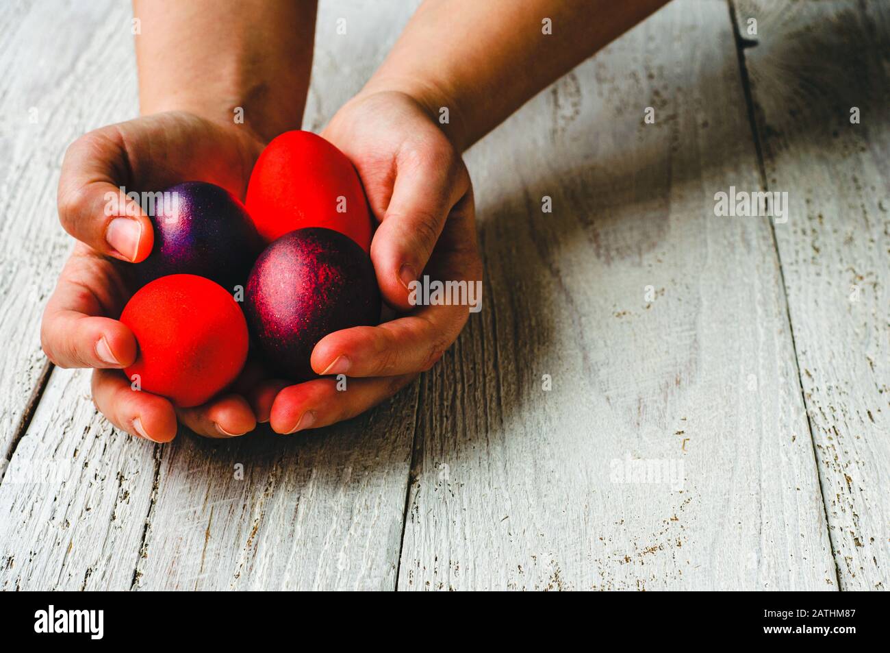 Colored red easter eggs in hands on wooden white background Stock Photo