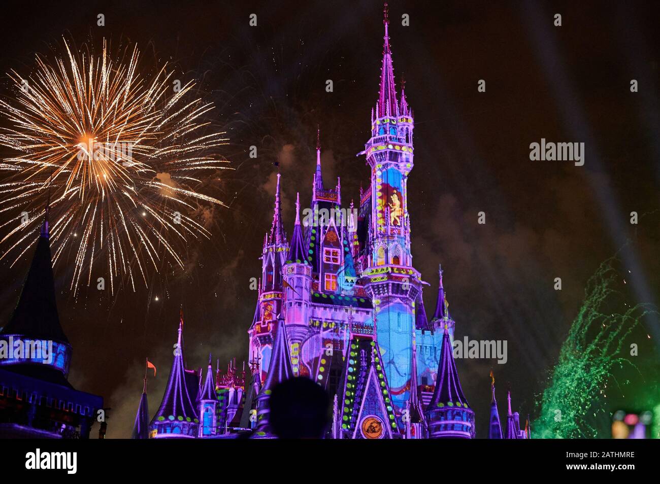 Orlando, USA - january 19, 2020: Purple magic kingdom castle with firework at night time Stock Photo