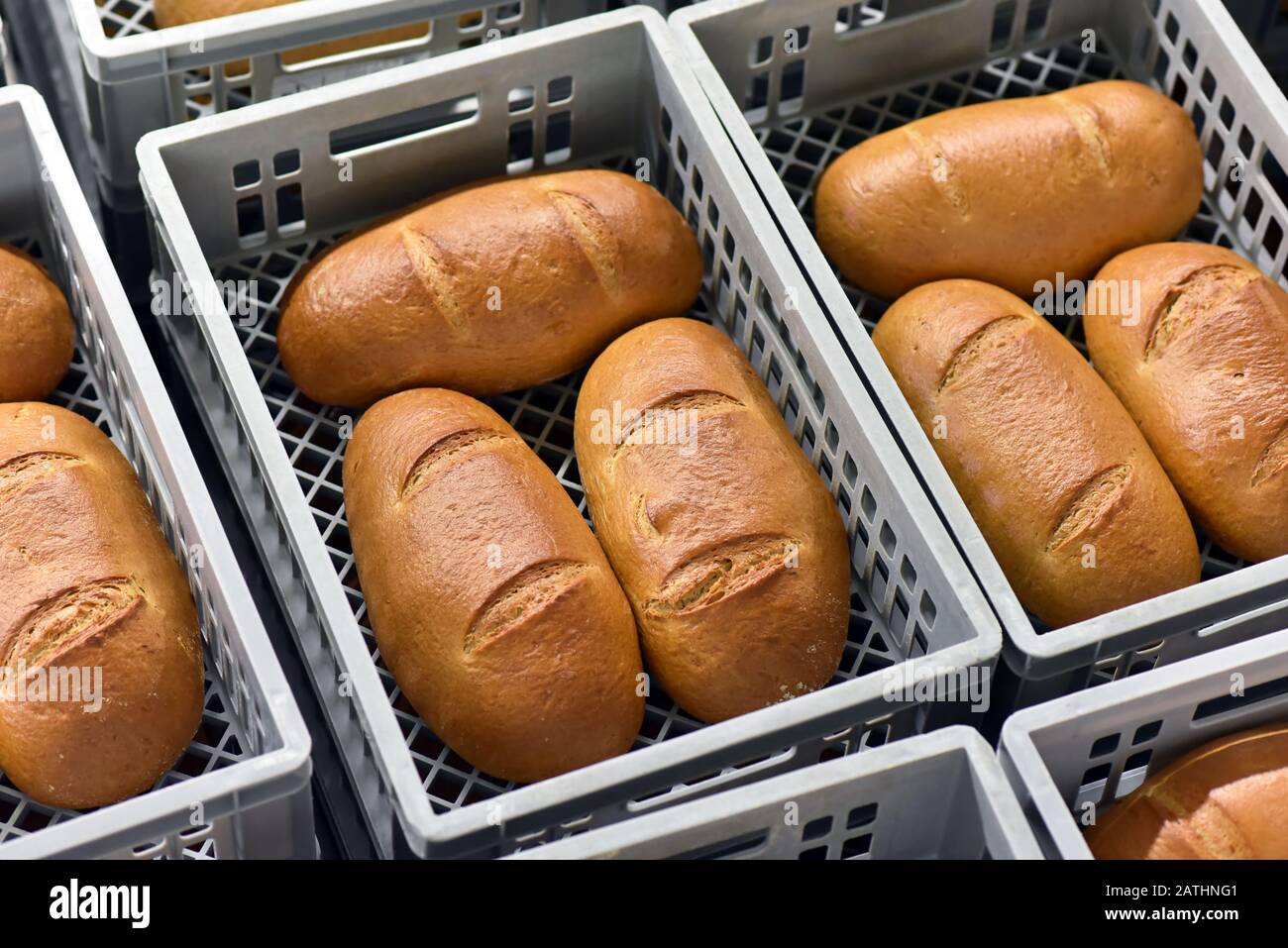 storage and transport of freshly baked loaves of bread in a bakery for sale - industrial food production Stock Photo