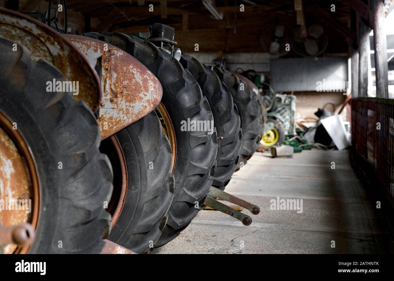 Tractor Tires Tactor Wheels A Line Of Old Farm Tractors Lined