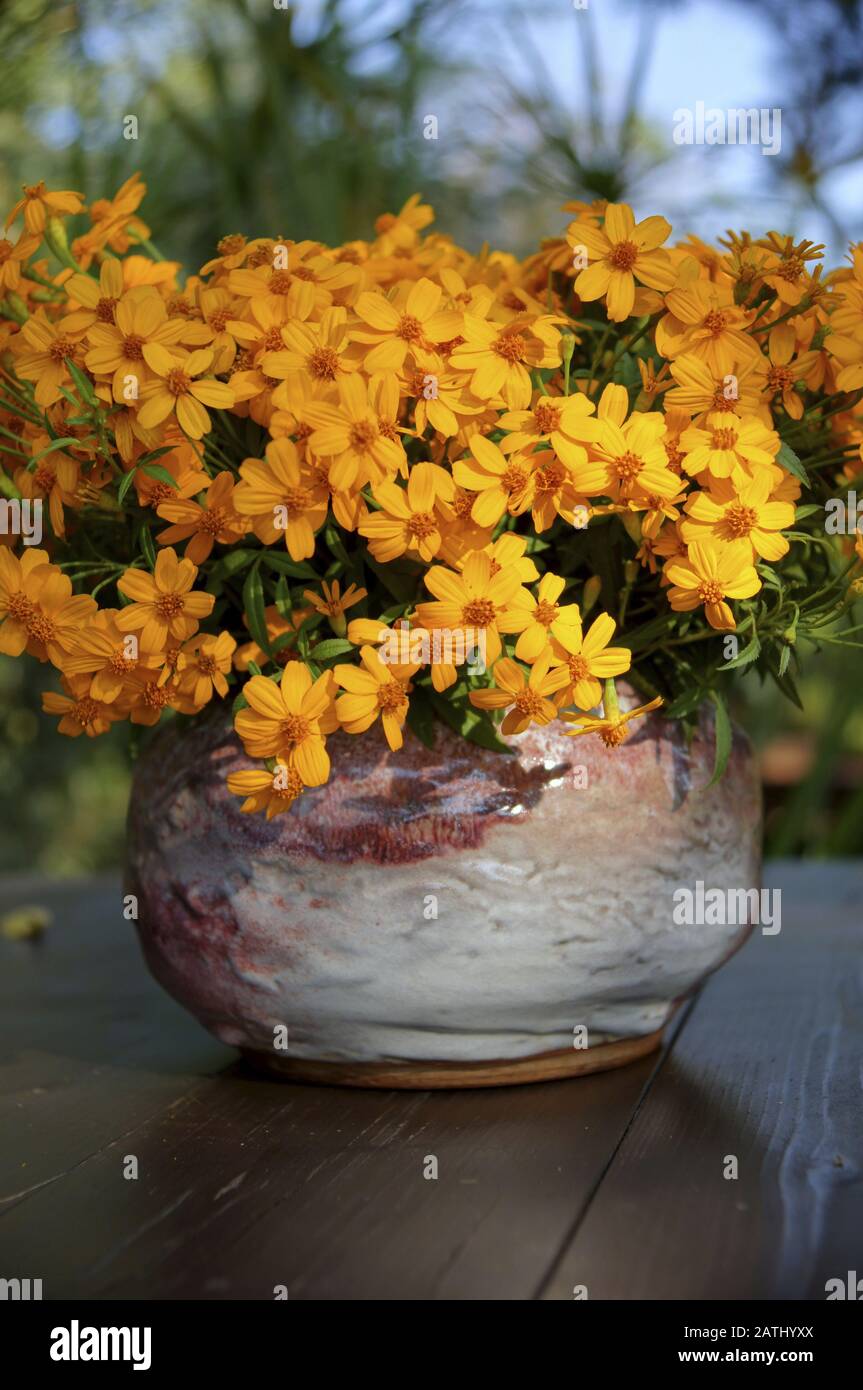 Flower arrangement close up of the orange flower at the vase Stock Photo