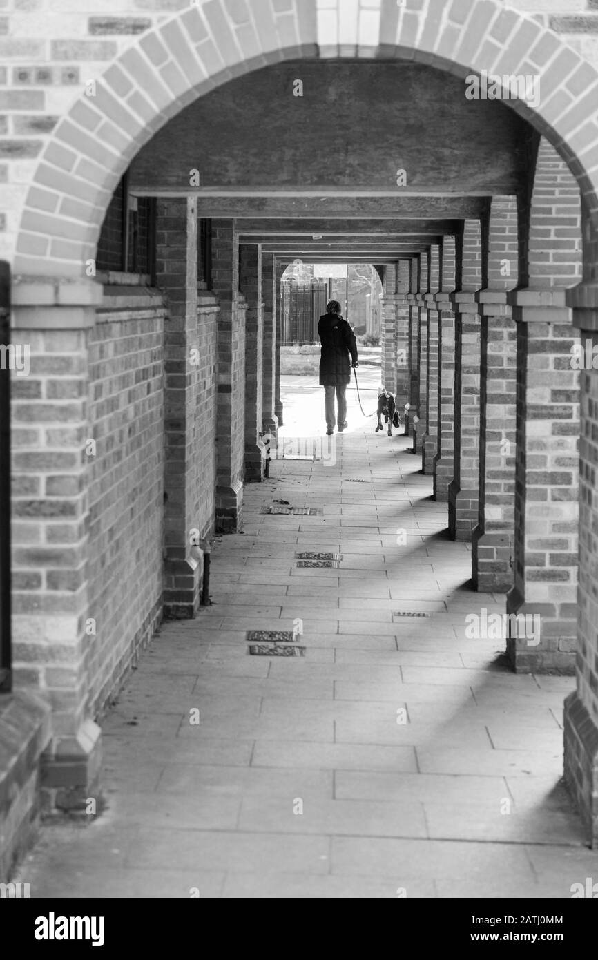 Woman walking her dog along a path lined with brick columns, York, North Yorkshire, England, UK. Stock Photo