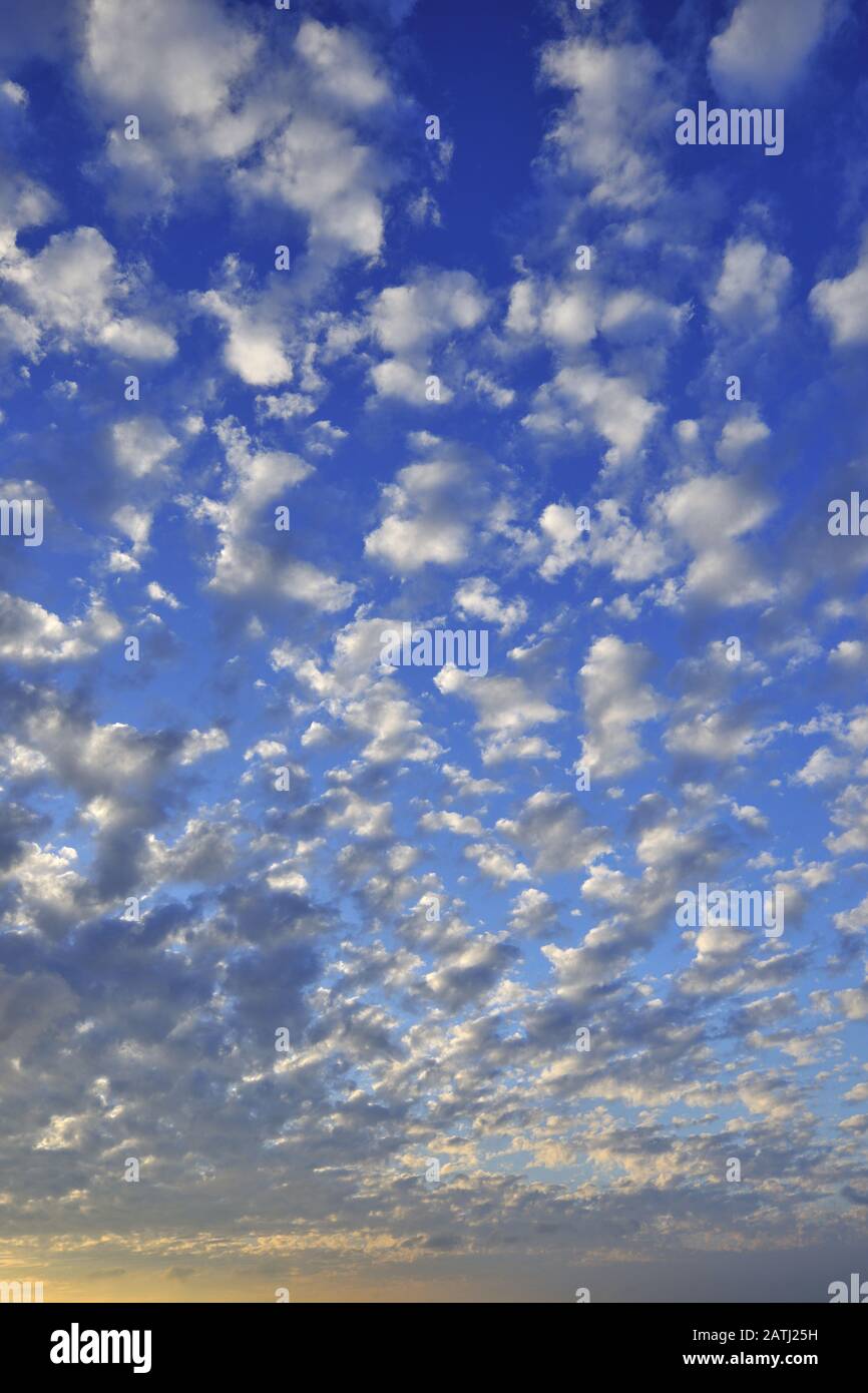 Low angle shot of blue sky and white cloud Stock Photo - Alamy