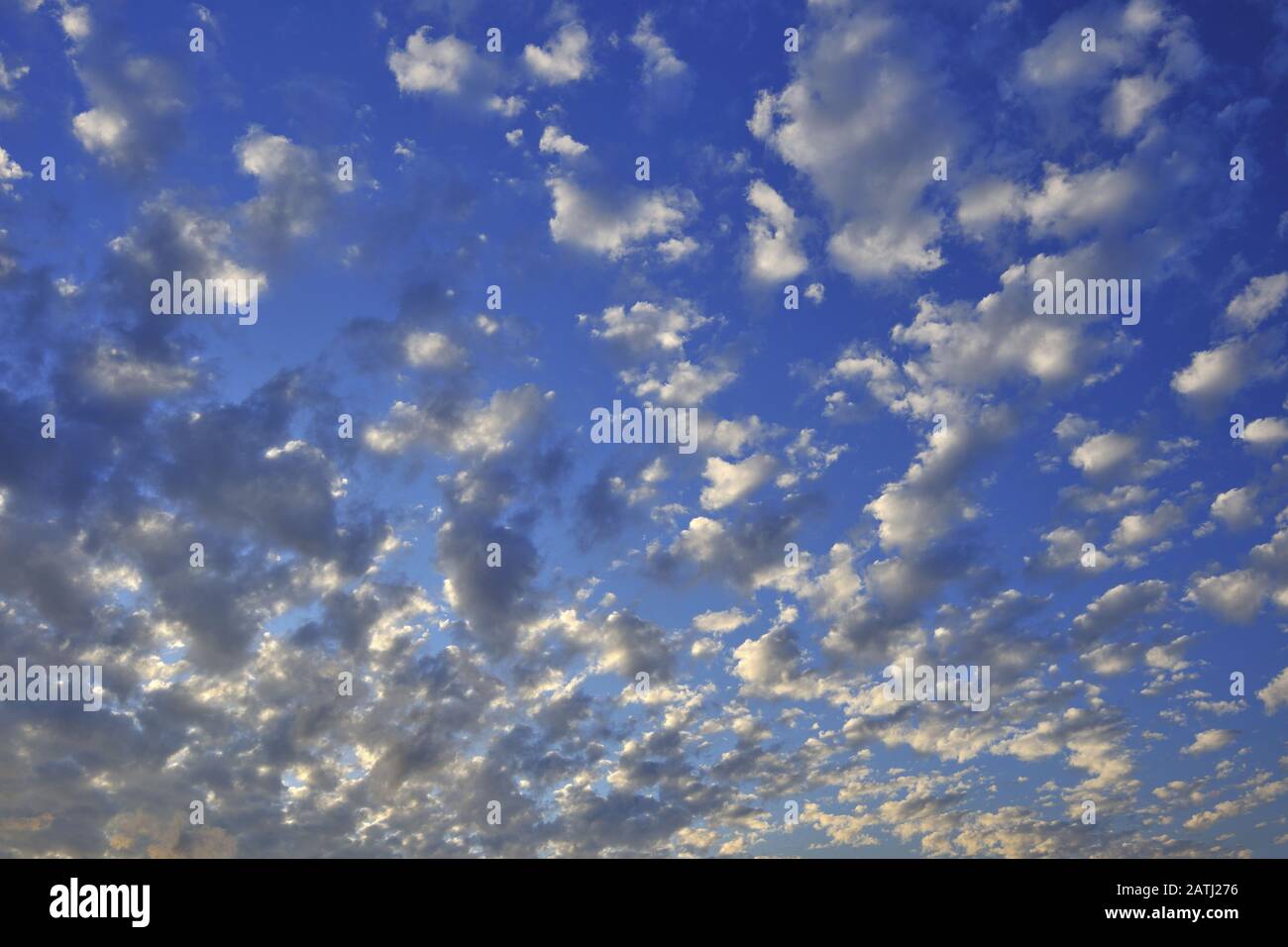 Low angle shot of blue sky and white cloud Stock Photo - Alamy