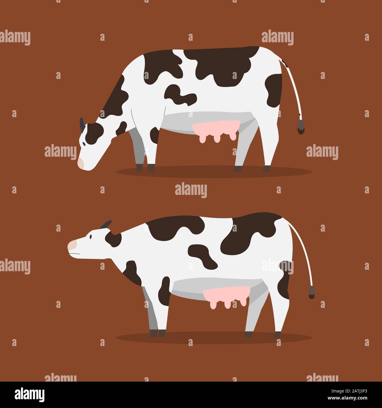 Cute Cow Stock Photos, Images and Backgrounds for Free Download