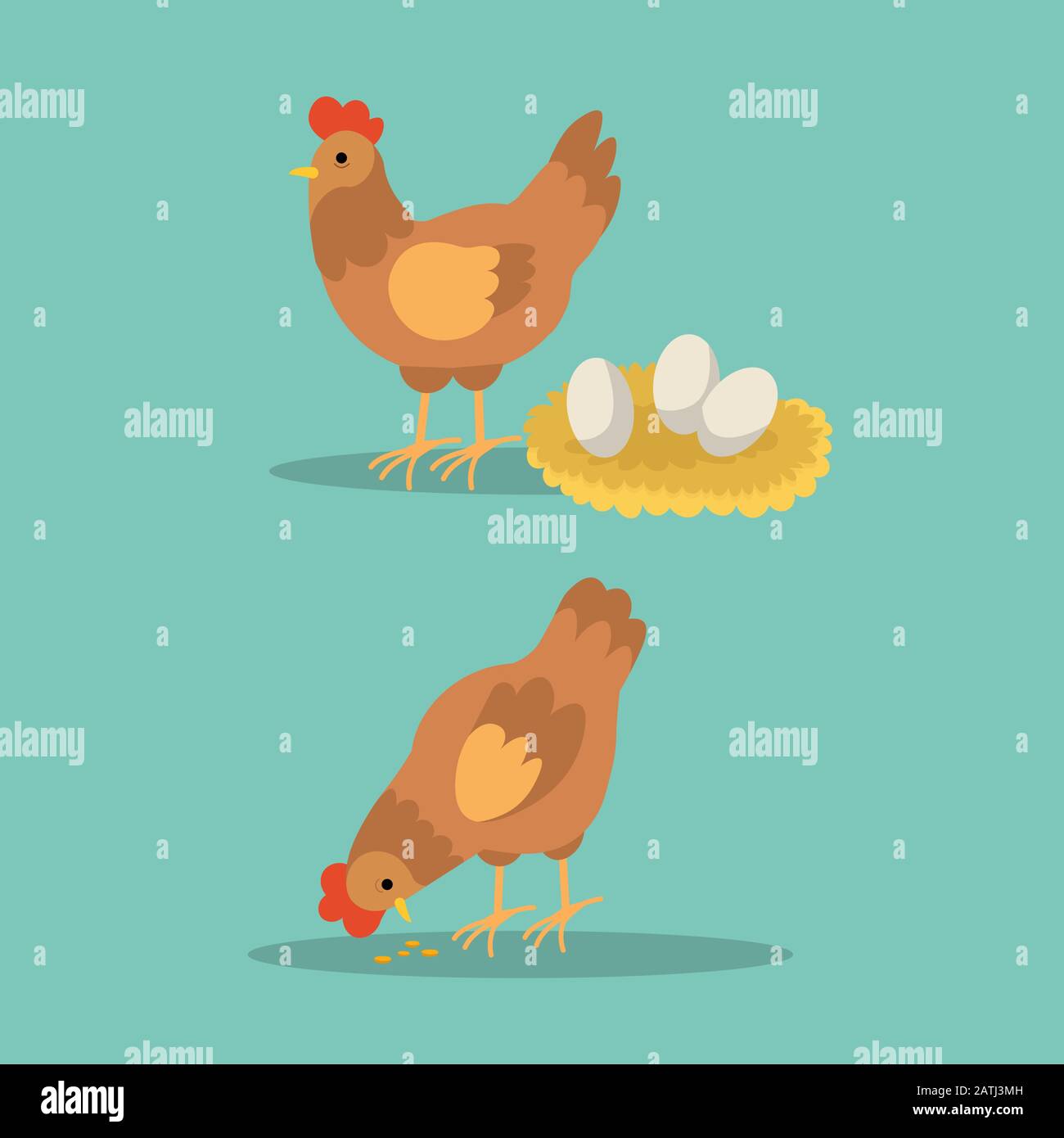 Hen and rooster with eggs and eating uncooked rice on blue background ...