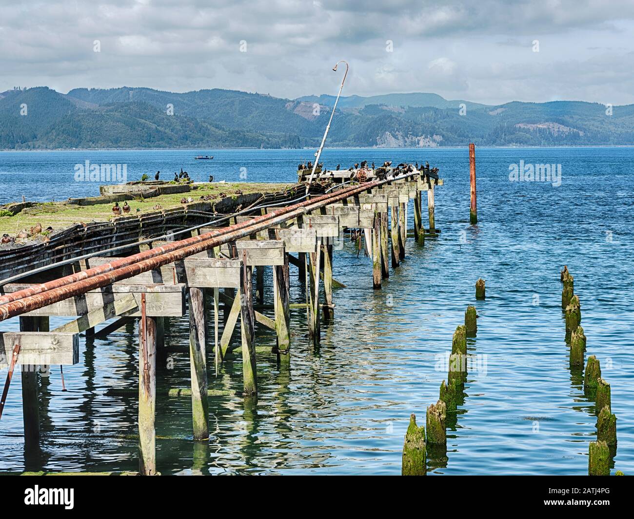 An old pier is crumbling and only used by roosting birds on the