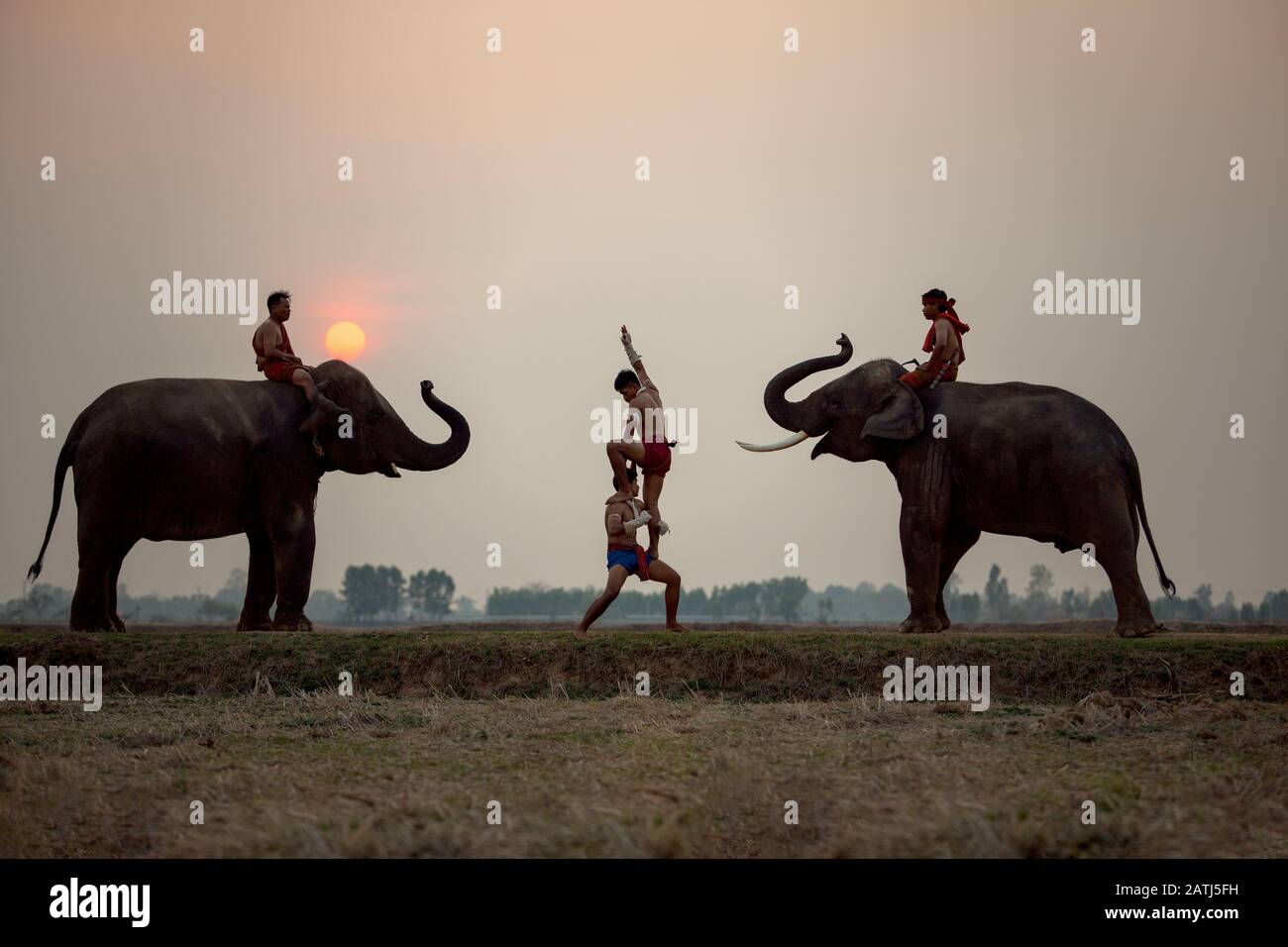 Muay Thai fighting and mahout elephants and this is the traditional culture in Chang Village Surin Thailand. Stock Photo