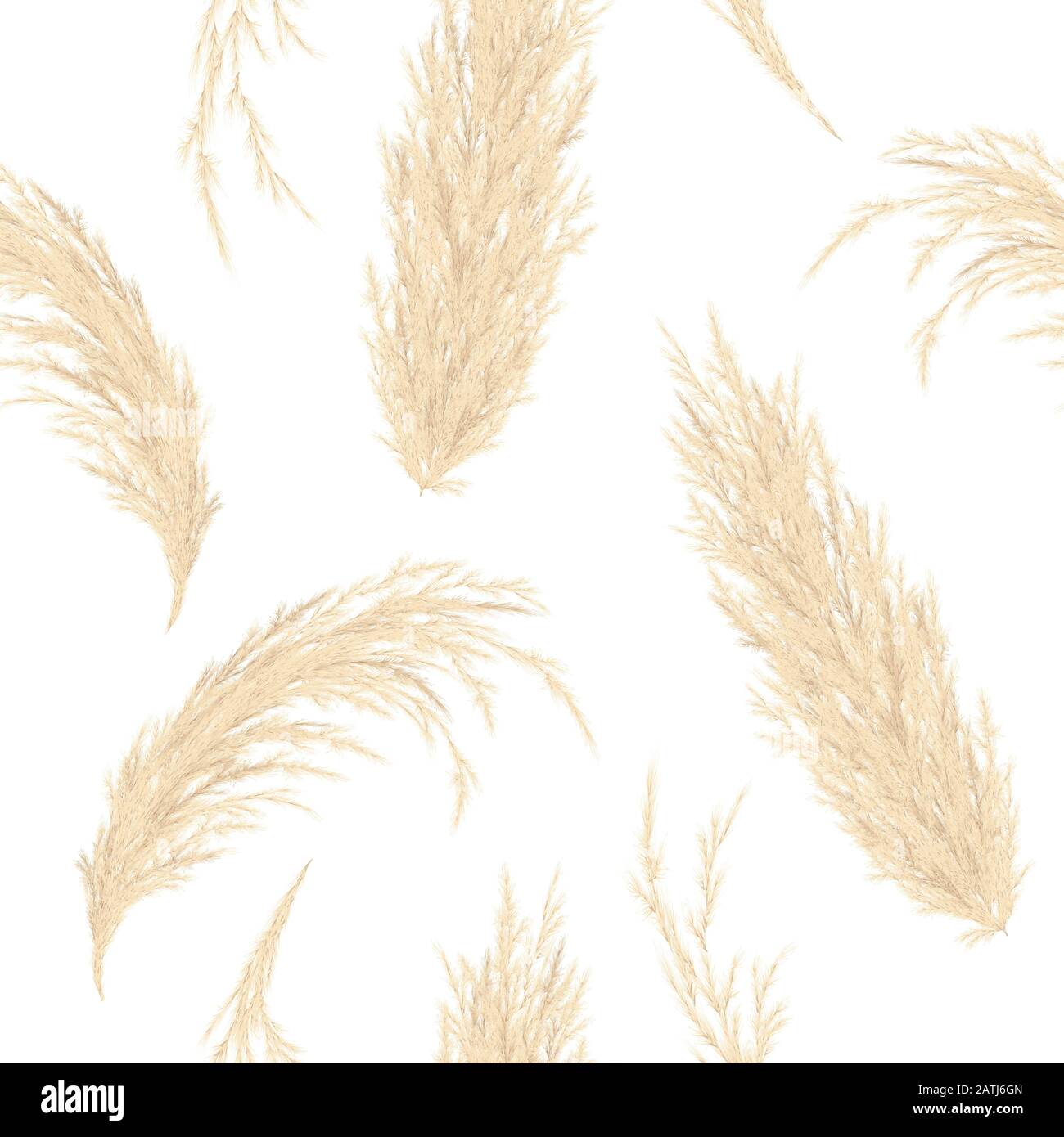 Golden Pampas grass seamless vector pattern. Silver panicle Cortaderia