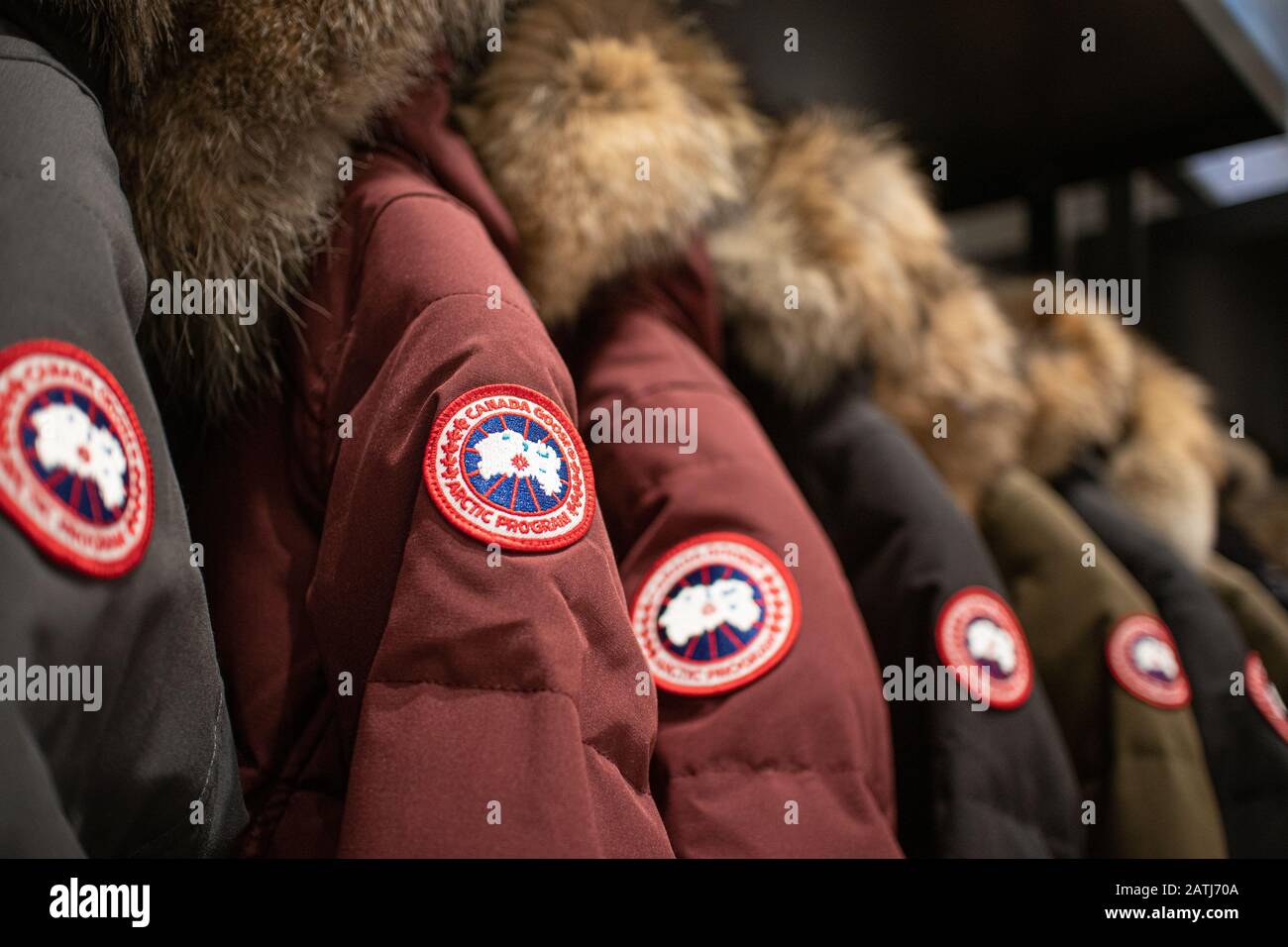 Canada goose logo hi-res stock photography and images - Alamy
