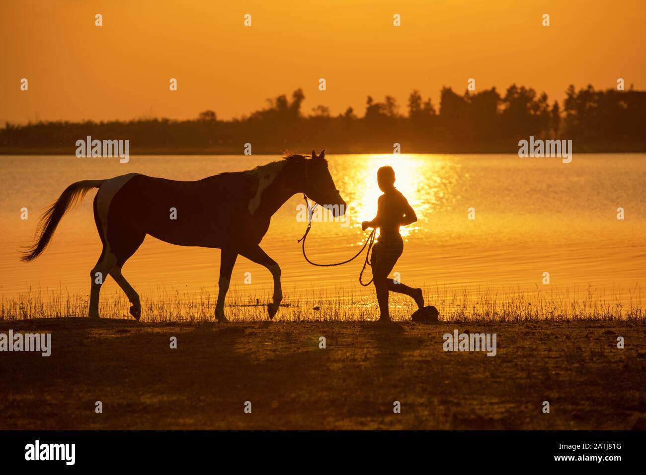 Man training horse in golden hour sunset at the lakeside lifestyle of cowboy in the countryside Stock Photo