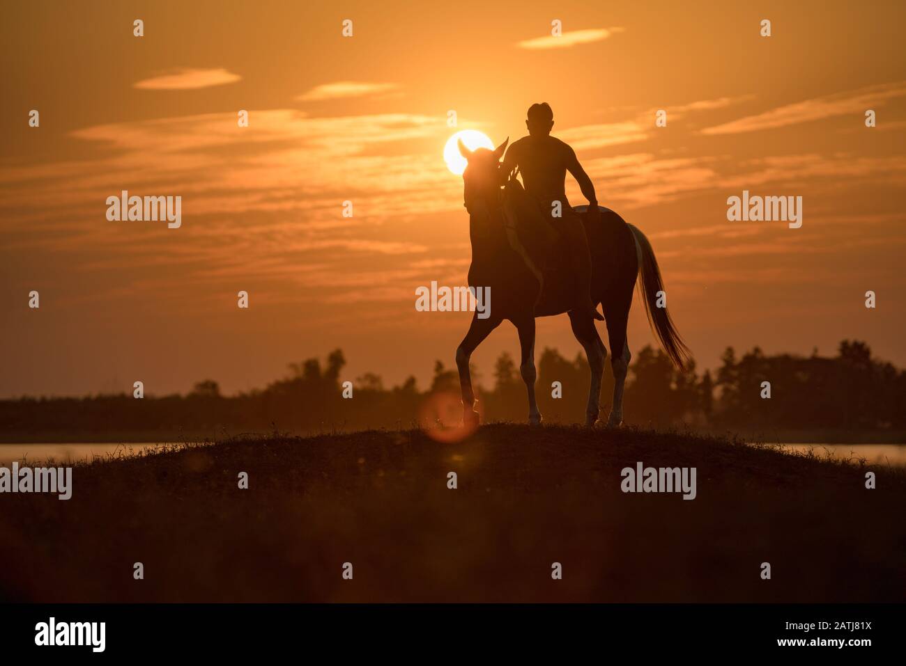 Black man riding a horse at the beach hi-res stock photography and ...