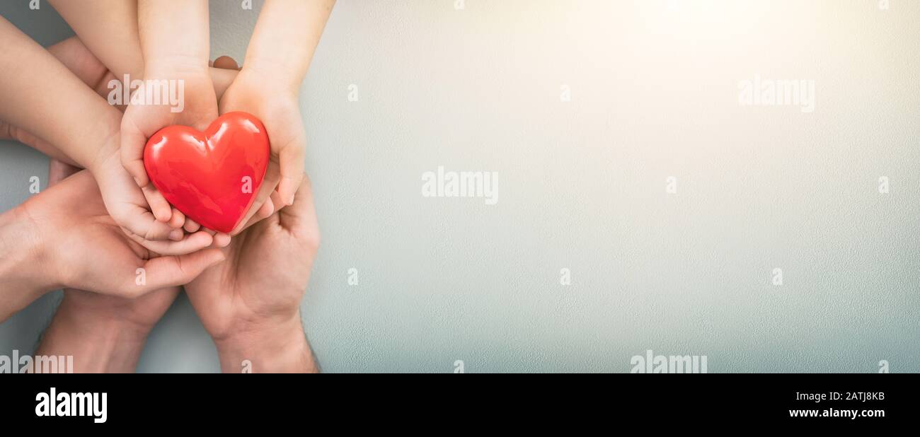 An adult, mother, father and child hold a red heart in their hands. Concept for charity, health insurance, love, international cardiology day. Stock Photo