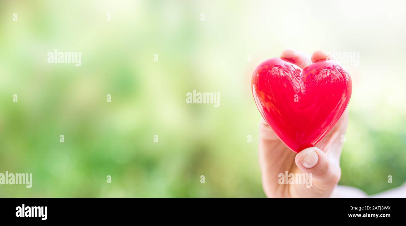 The woman is holding a red heart. Concept for charity, health insurance, love, international cardiology day. Stock Photo