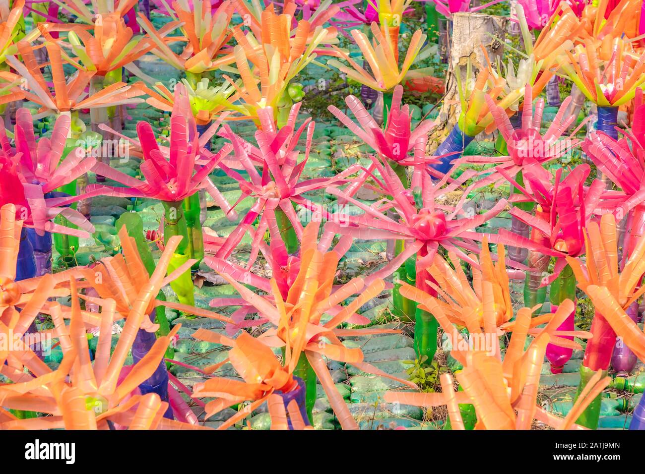 Recycled colorful plastic flowers made from plastic bottles to decorate