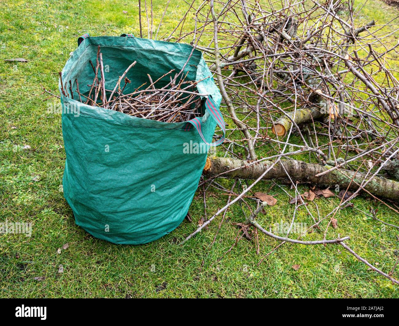 Tree care pruning in the garden garden waste Stock Photo Alamy