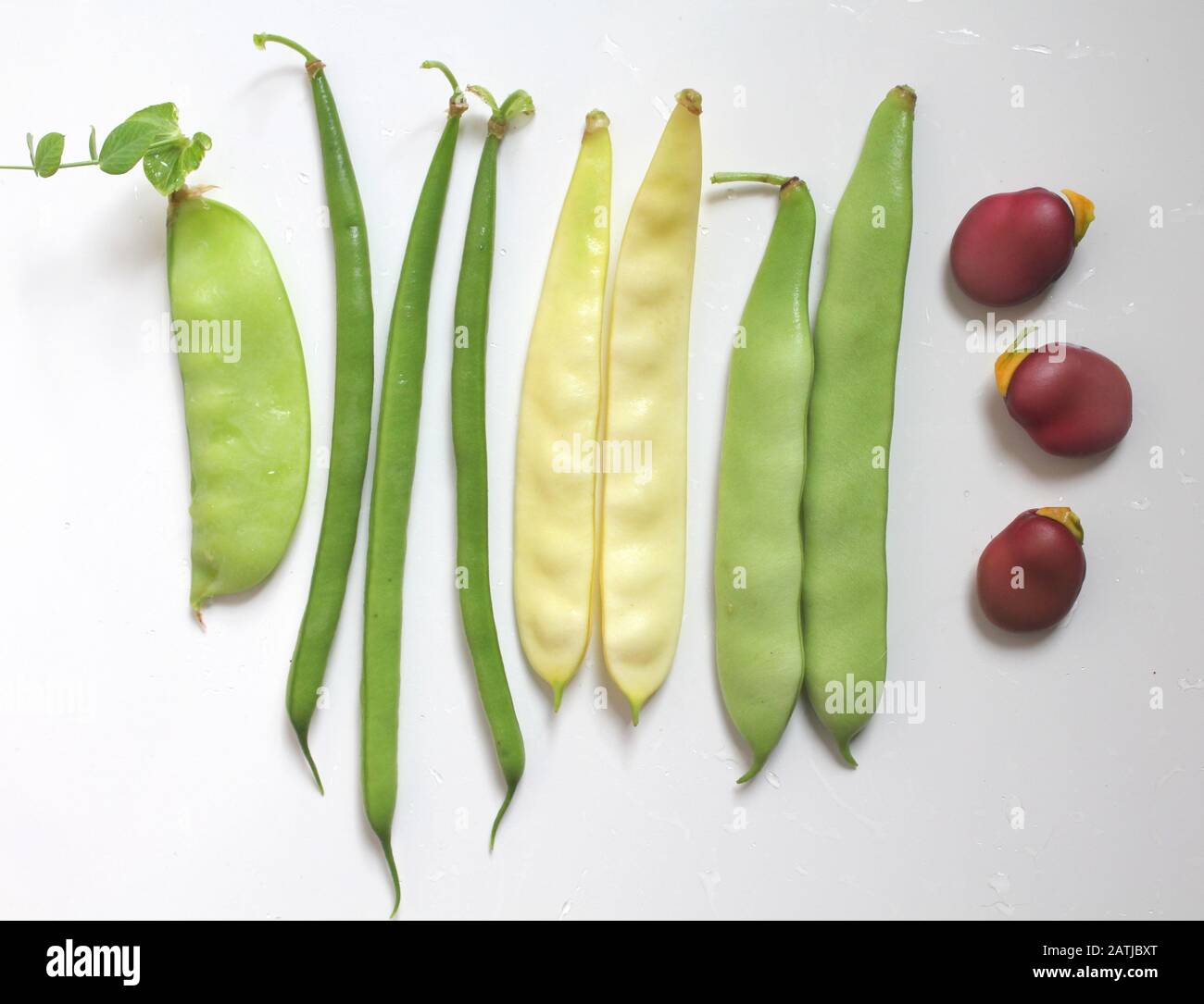 Variety of legumes green and yellow beans, pea, broad bean Stock Photo Alamy