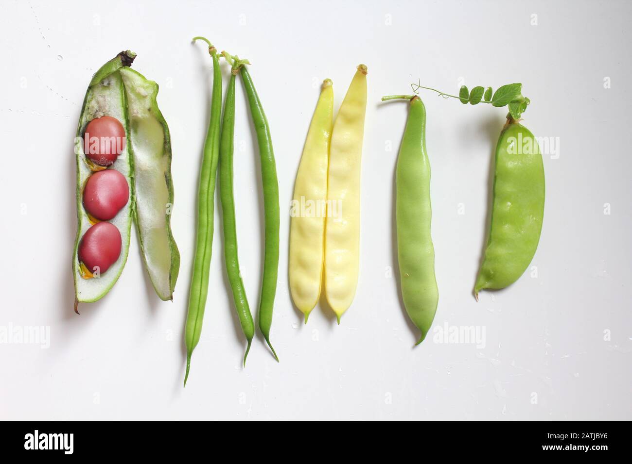 Different kinds of legumes green and yellow beans, pea, broad bean Stock Photo Alamy