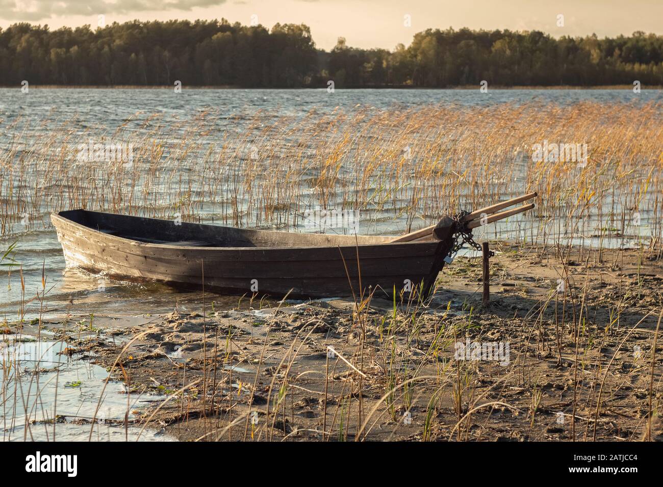 Old wooden boat moored on the mudy shore lake Stock Photo - Alamy