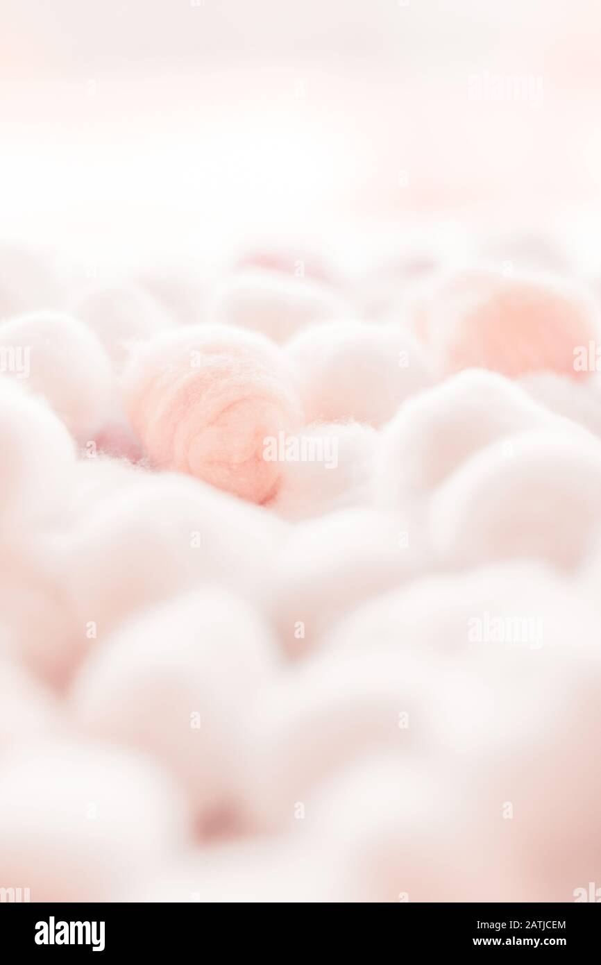 Pink hygienic cotton balls Stock Photo