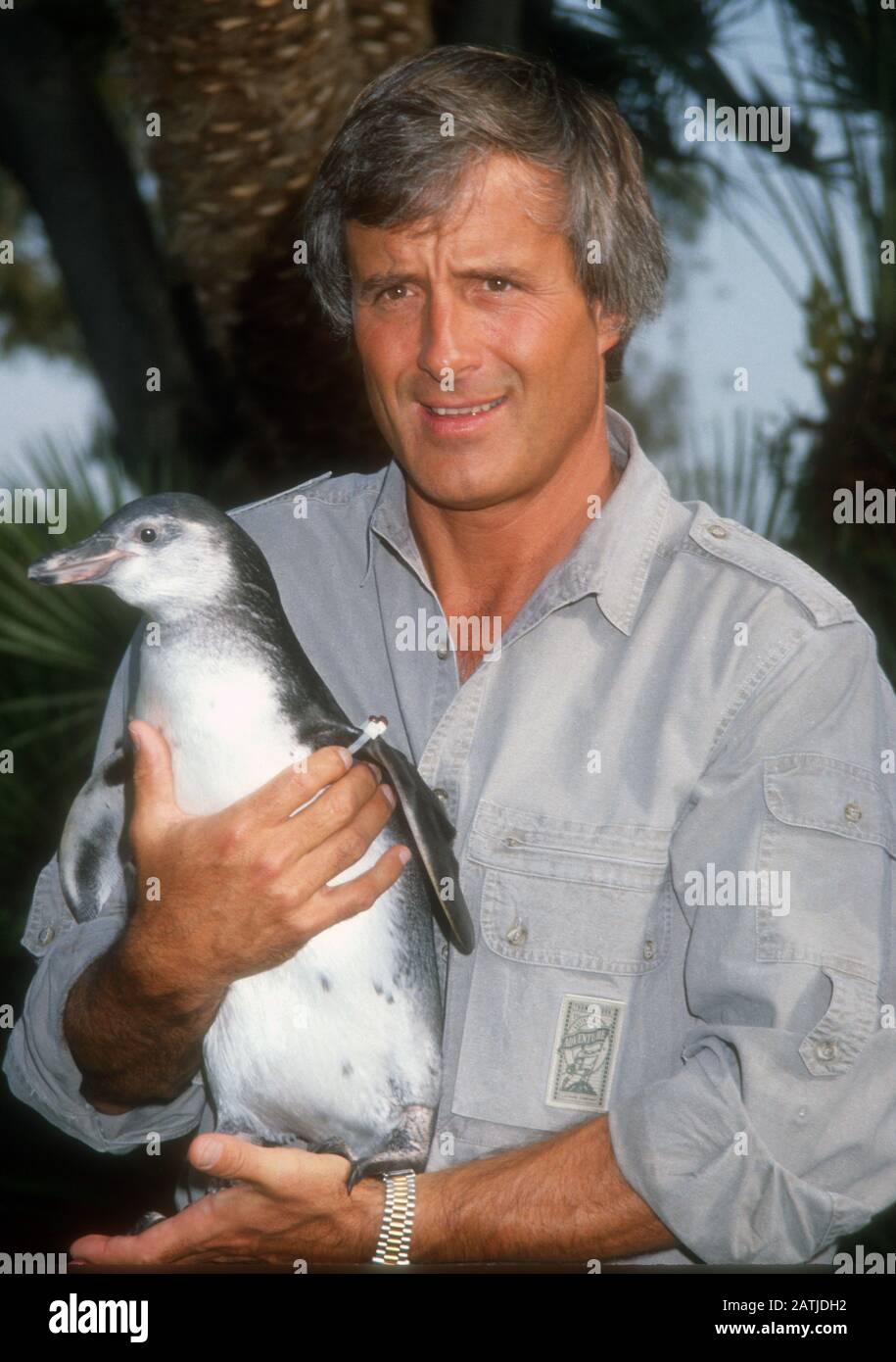 Jack Hanna 1993, Photo By Michael Ferguson/PHOTOlink Photo via Credit