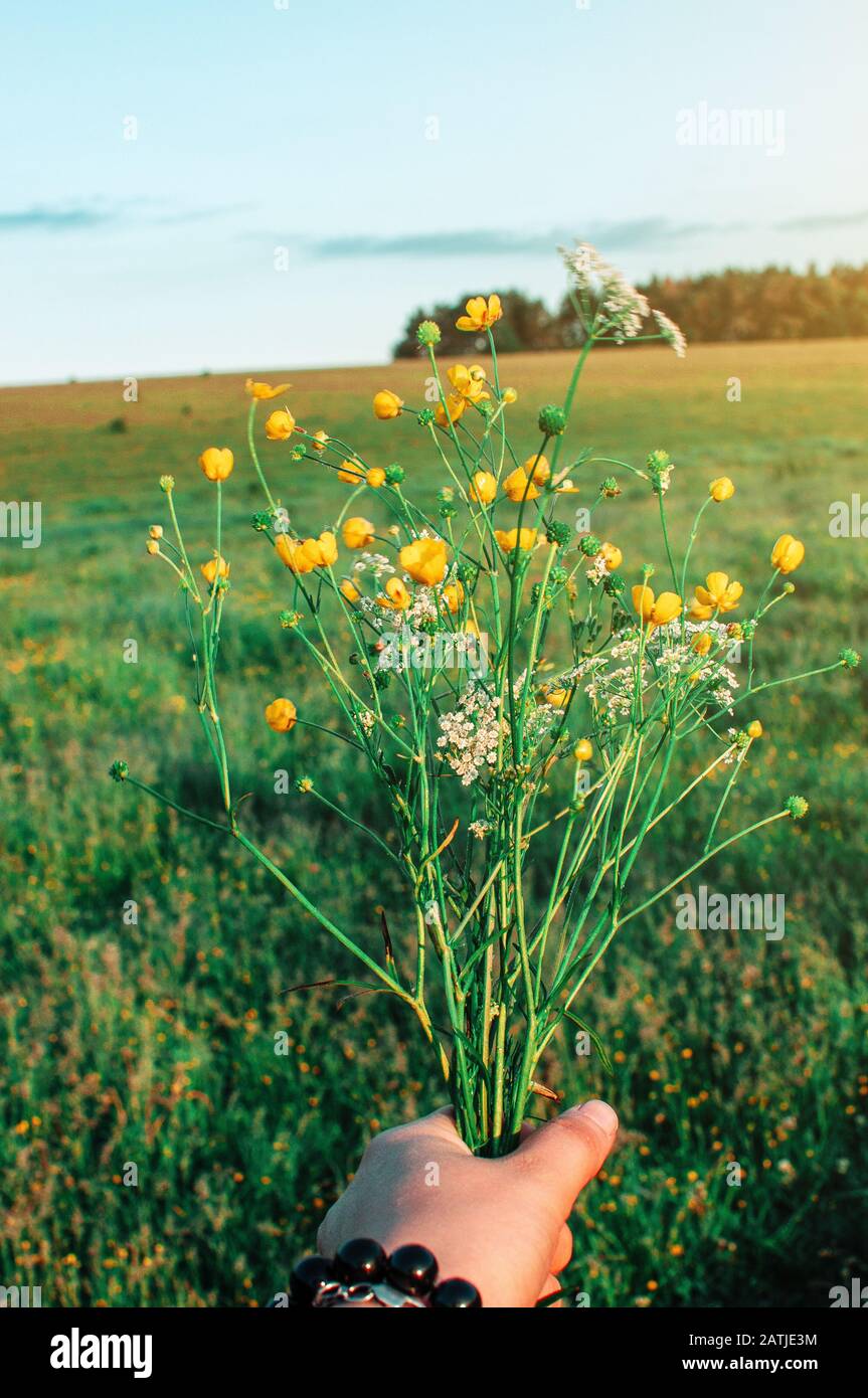 a bouquet of fresh wildflowers in a man s hand. Freshly picked