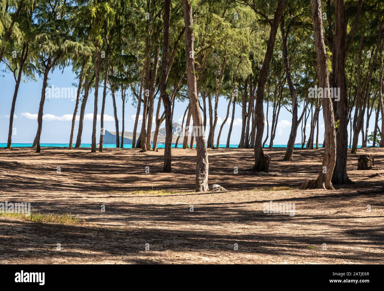Sherwood beach oahu hires stock photography and images Alamy
