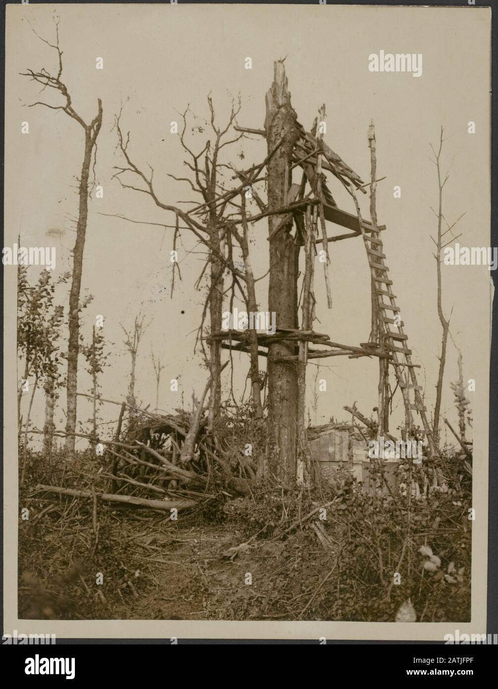 The front in France Description: German observation post at a tree - How many followers on our artillery has had a direct hit Annotation: The front in France. German observatory in a tree where our artillery a hit on'd Date: {1914-1918} Location: France Keywords: WWI, fronts, devastation, observatories Stock Photo