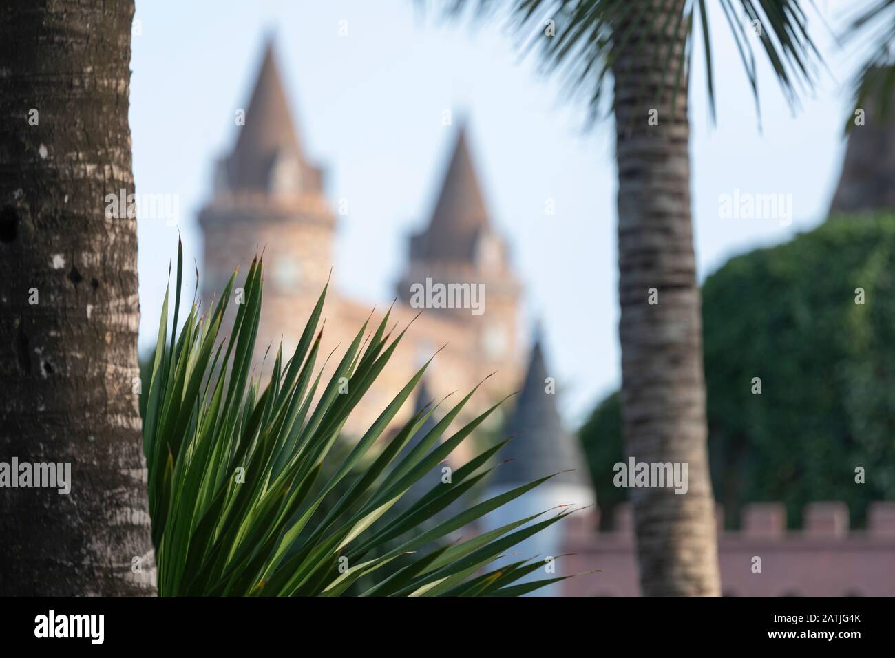 A medieval castle in selective focus againsy a clear sky with palm trees in sharp focus in the foreground Stock Photo