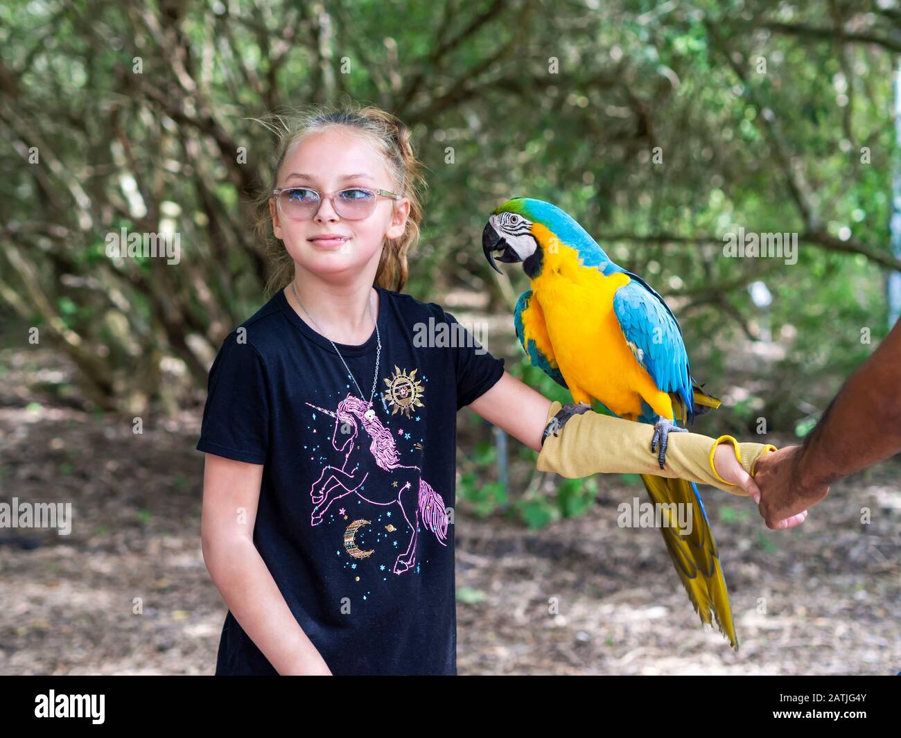 A young Caucasian girl with glasses in a unicorn t-shirt with Blue and Gold Macaw on her arm. South Texas Botanical Gardens, Corpus Christi, Texas USA. Stock Photo