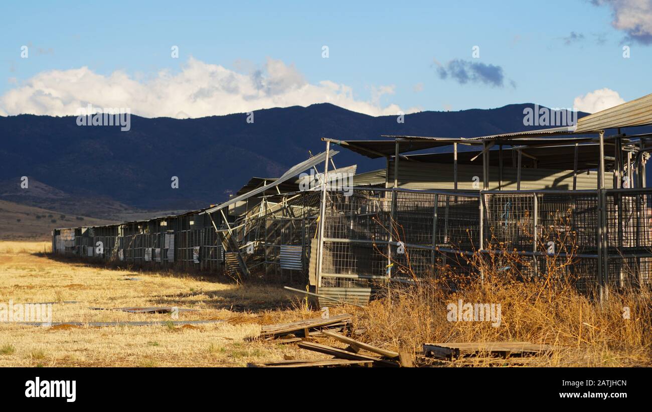 Close up view of old and abandoned livestock pens once used for fairs and rodeos sit in a rural field in the southwest. Stock Photo