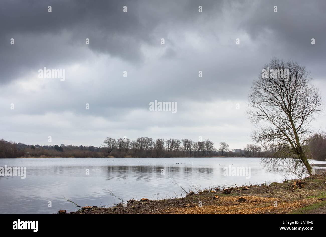 Landscape of Rural River Shot During Winter on an Overcast Day Stock Photo