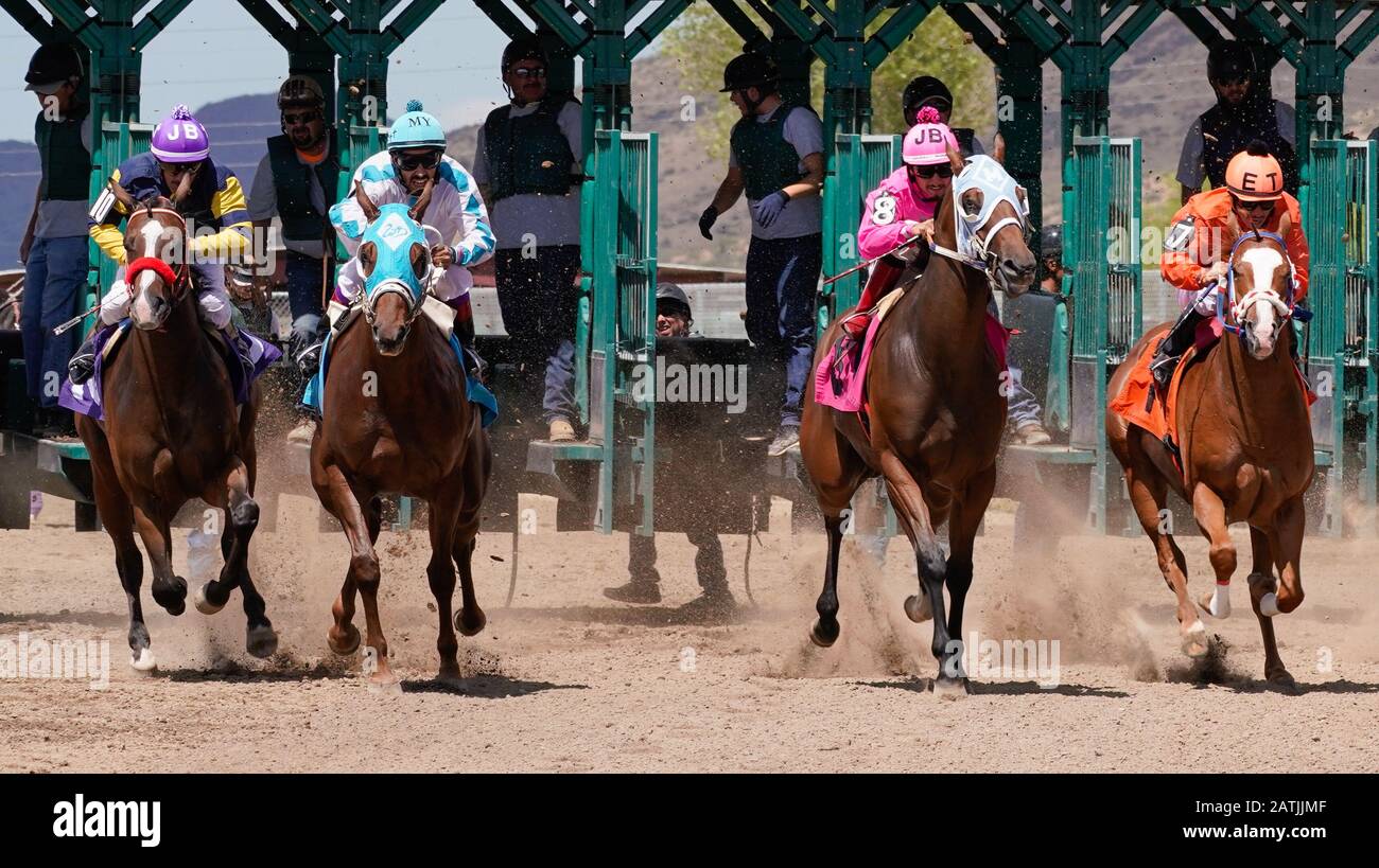 Jockeys and Racehorses leave the gate and head down the stretch toward the camera. Stock Photo