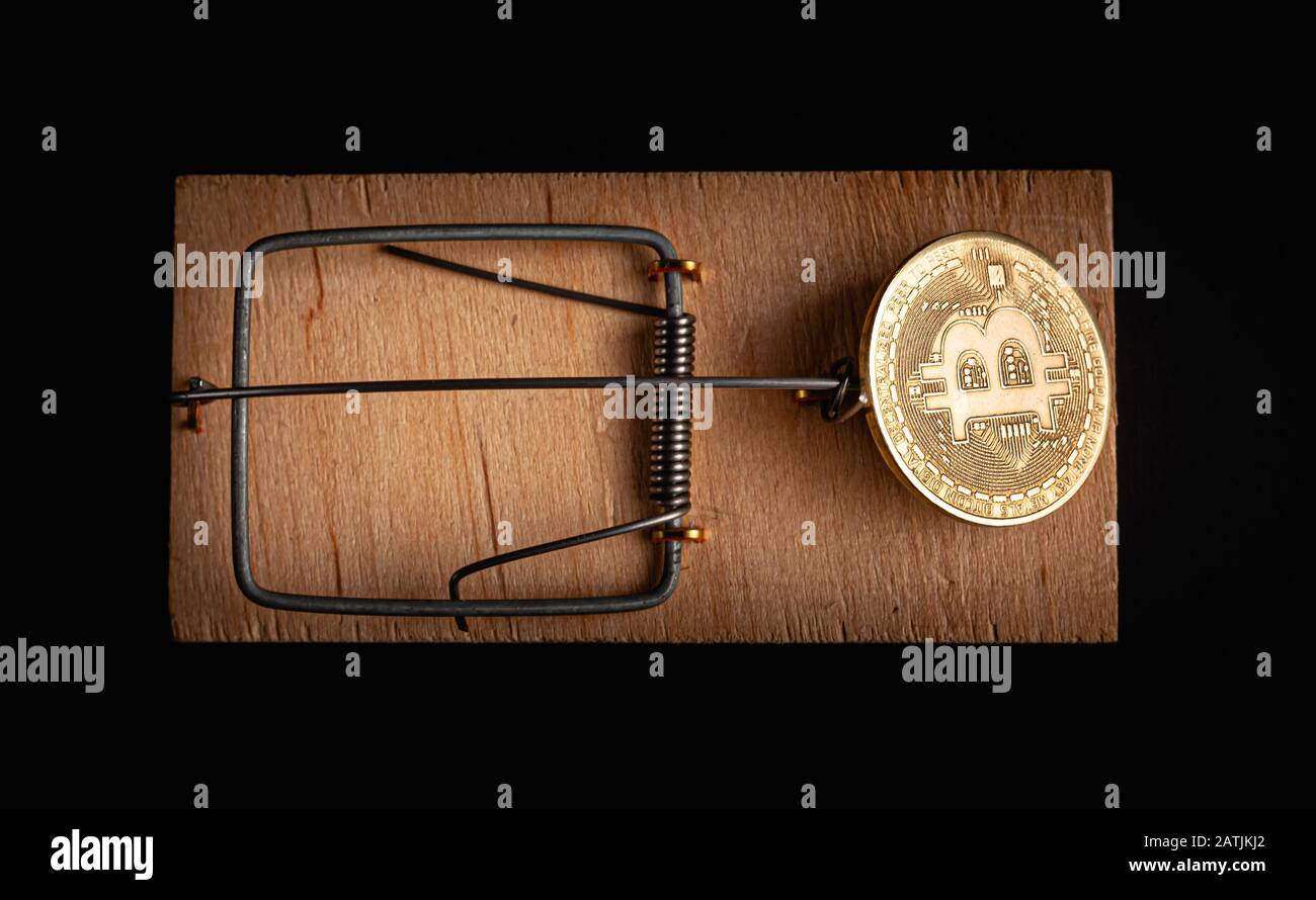 Bitcoin coin in a mousetrap isolate on a black background. Stock photo bitcoin news. Stock Photo