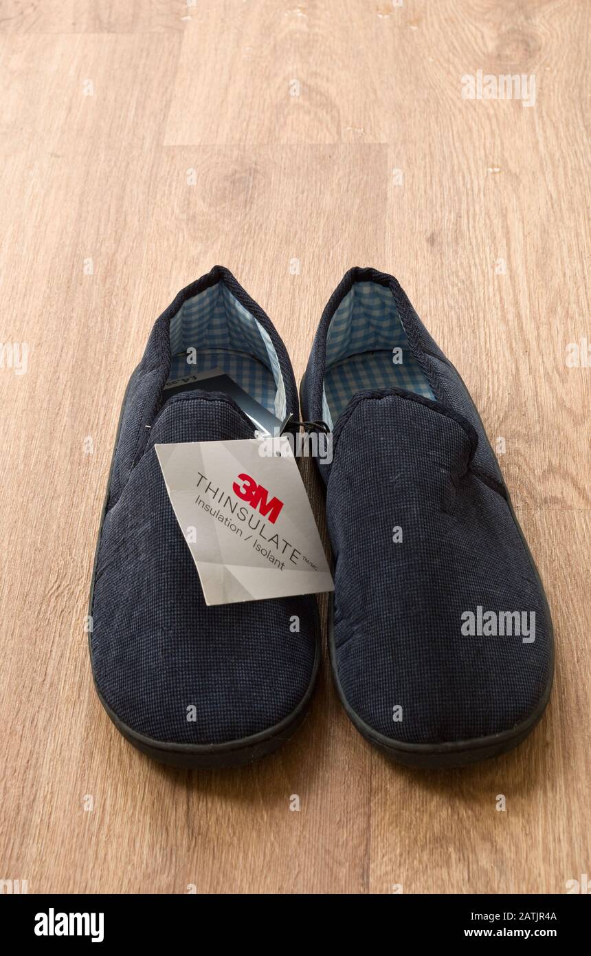 Blue 3M Thinsulate Slippers Stock Photo 