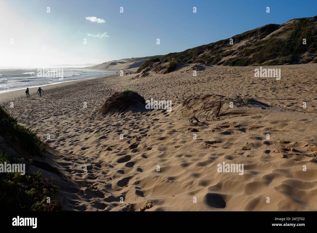 People walking along the beach next to the towering sand dunes of Sardinia  Bay near Port Elizabeth, Eastern Cape, South Africa Stock Photo - Alamy