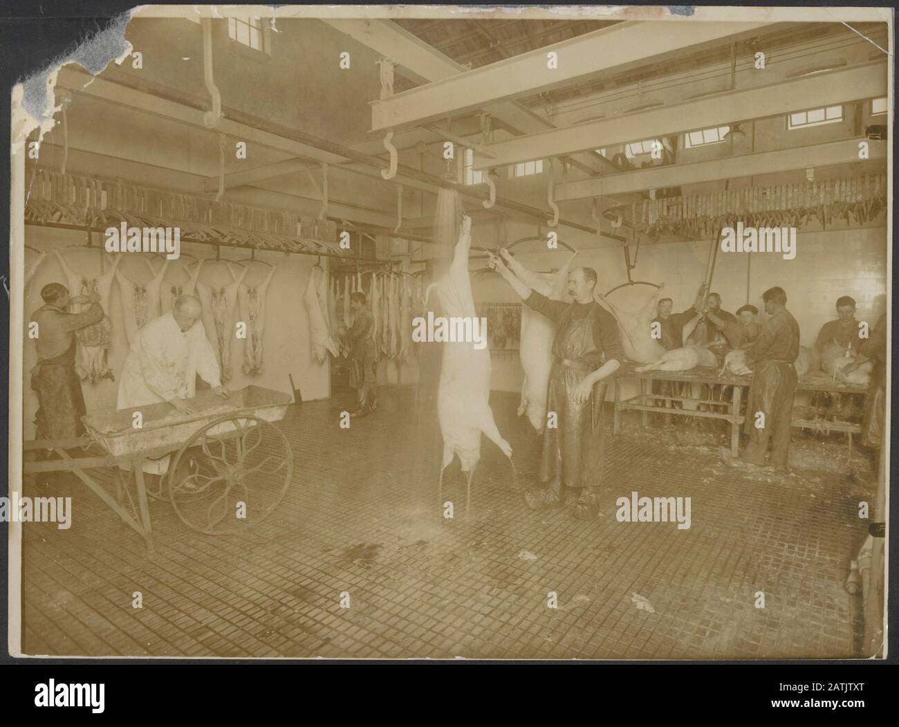 Description Workers at a pig slaughterhouse Date {19141918} Keywords
