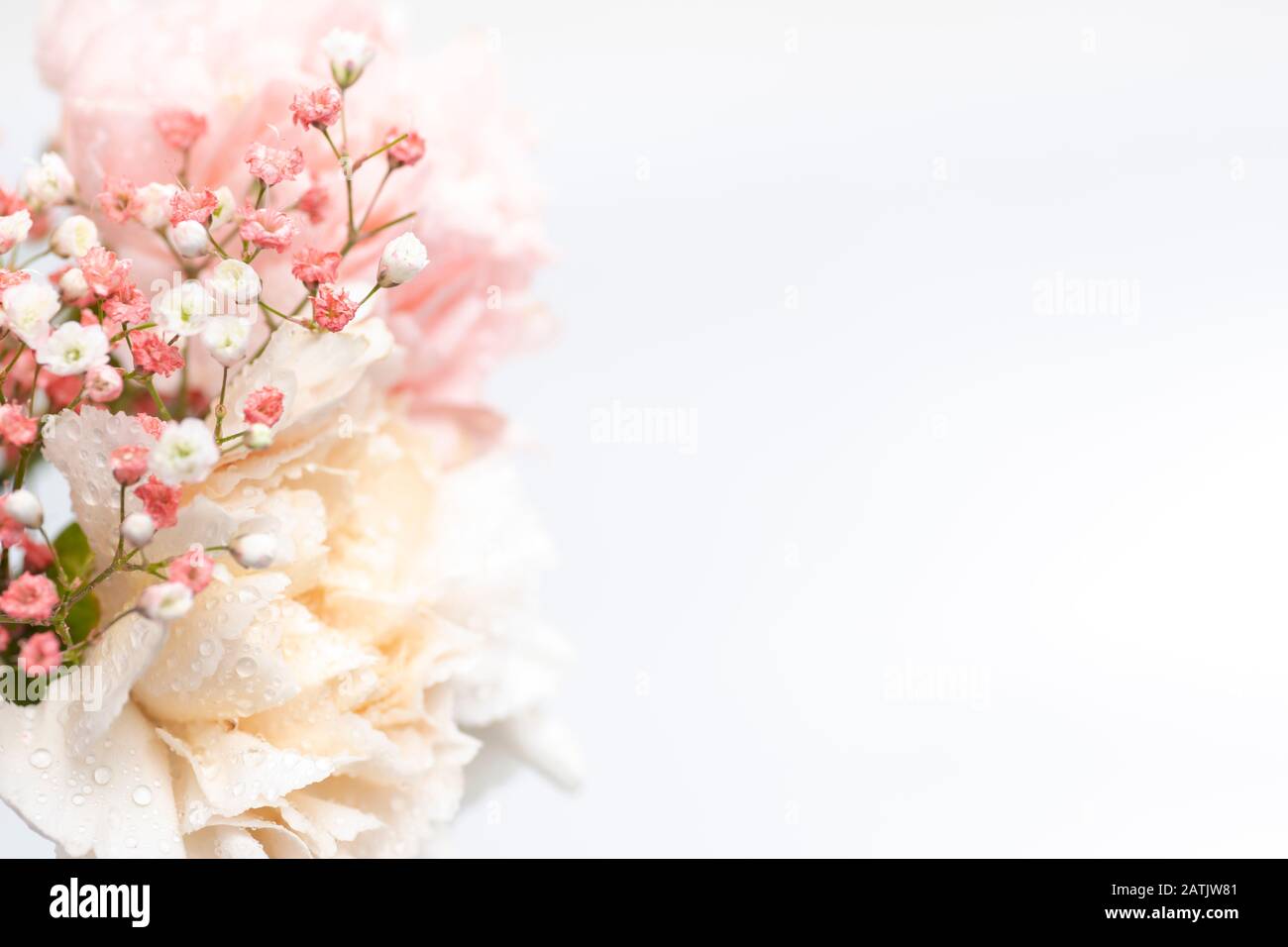 Still life of flowers on white background Stock Photo - Alamy