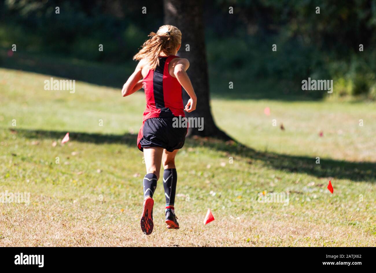 Rear view of the leader of a girls cross country race following the small red flags marking the course. Stock Photo
